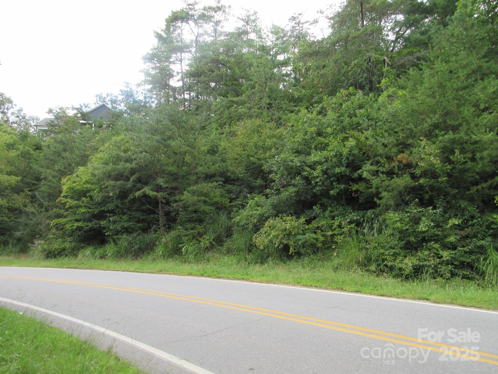 0 Old Burnsville Road Weaverville NC 28787
