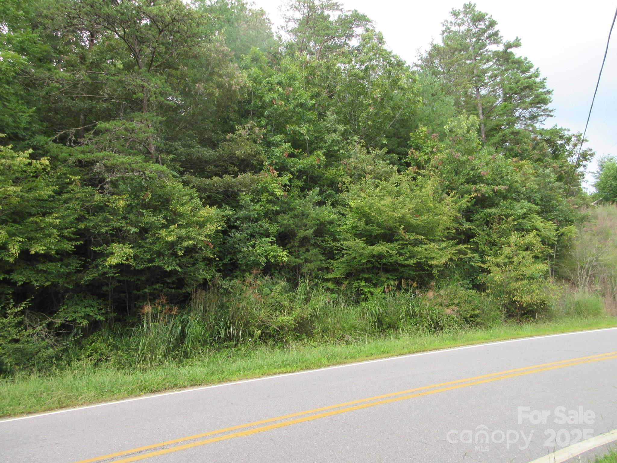 0 Old Burnsville Road Weaverville NC 28787
