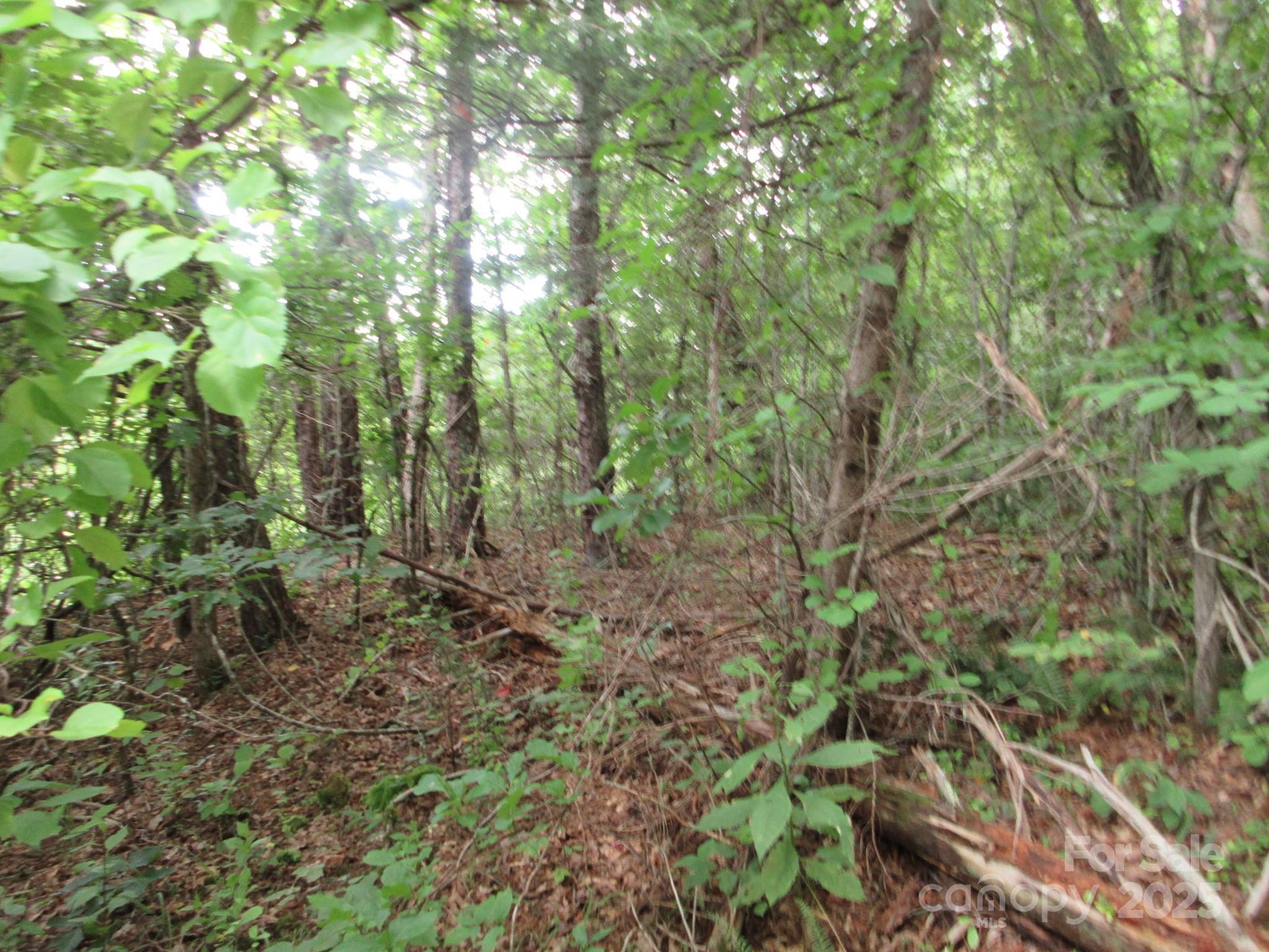 0 Old Burnsville Road Weaverville NC 28787