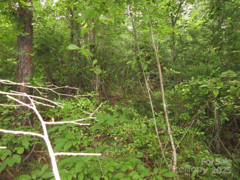 0 Old Burnsville Road Weaverville NC 28787