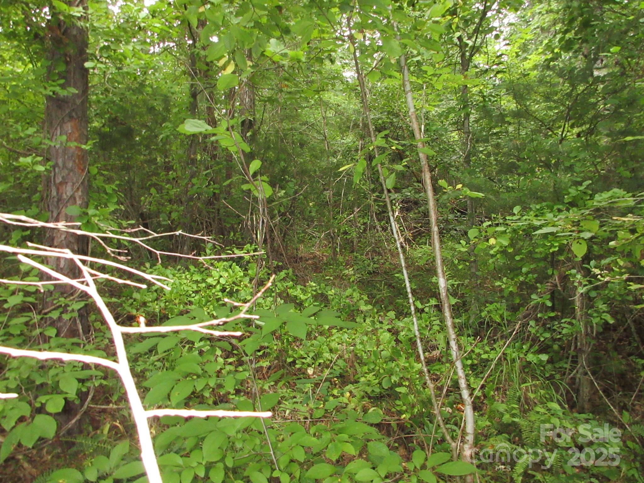 0 Old Burnsville Road Weaverville NC 28787