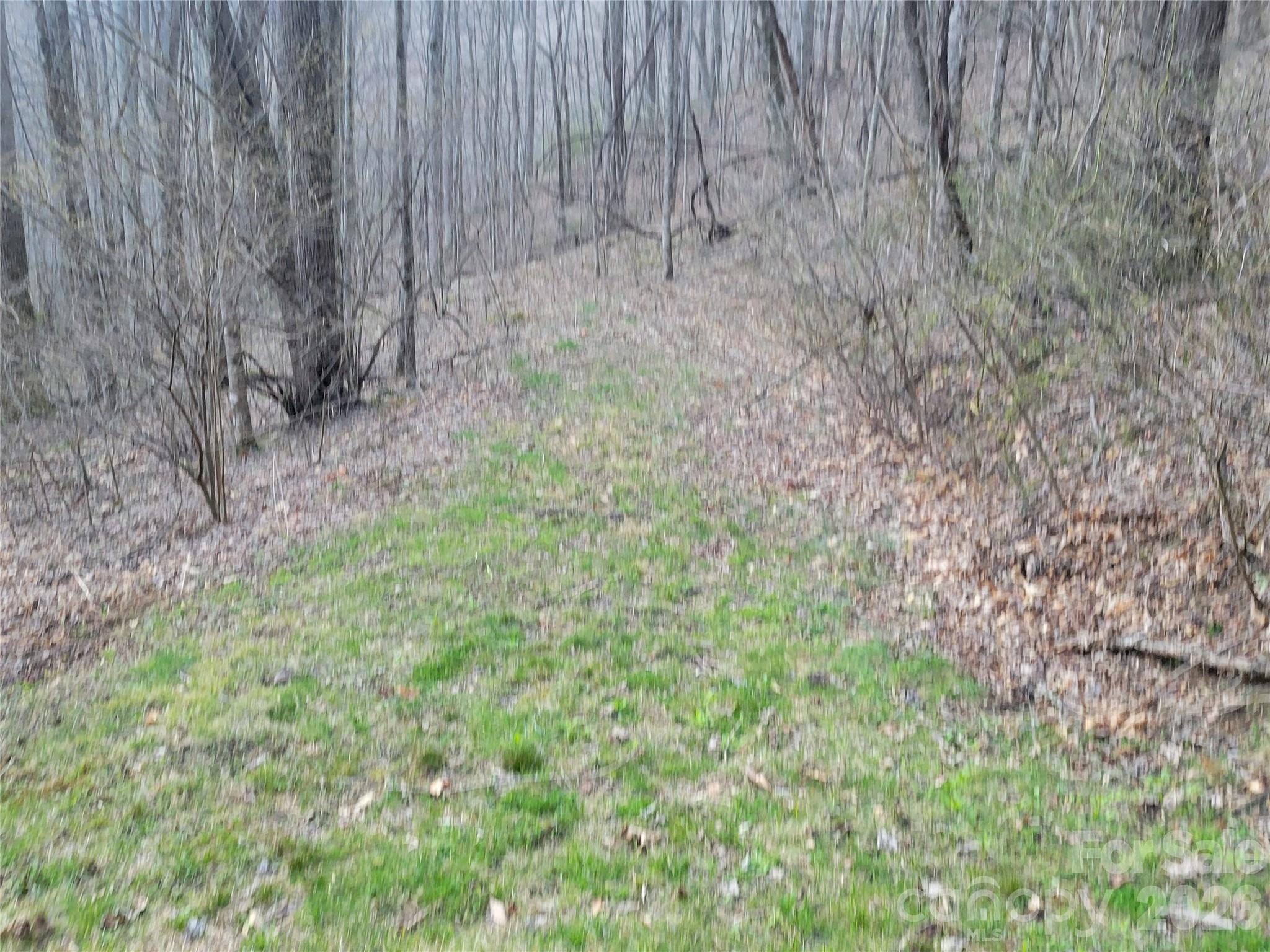 00 Rosewood Lane Maggie Valley NC 28751
