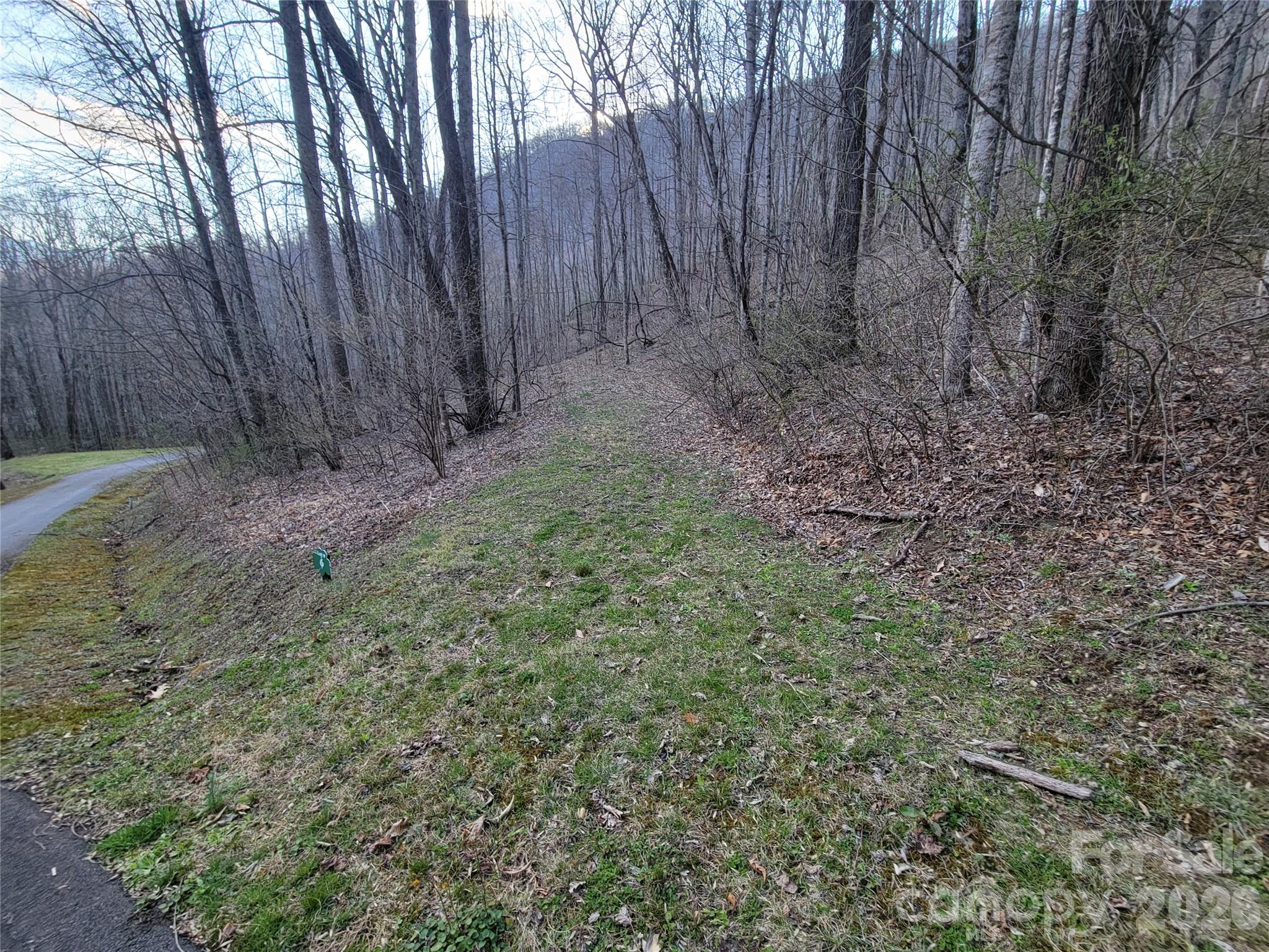 00 Rosewood Lane Maggie Valley NC 28751