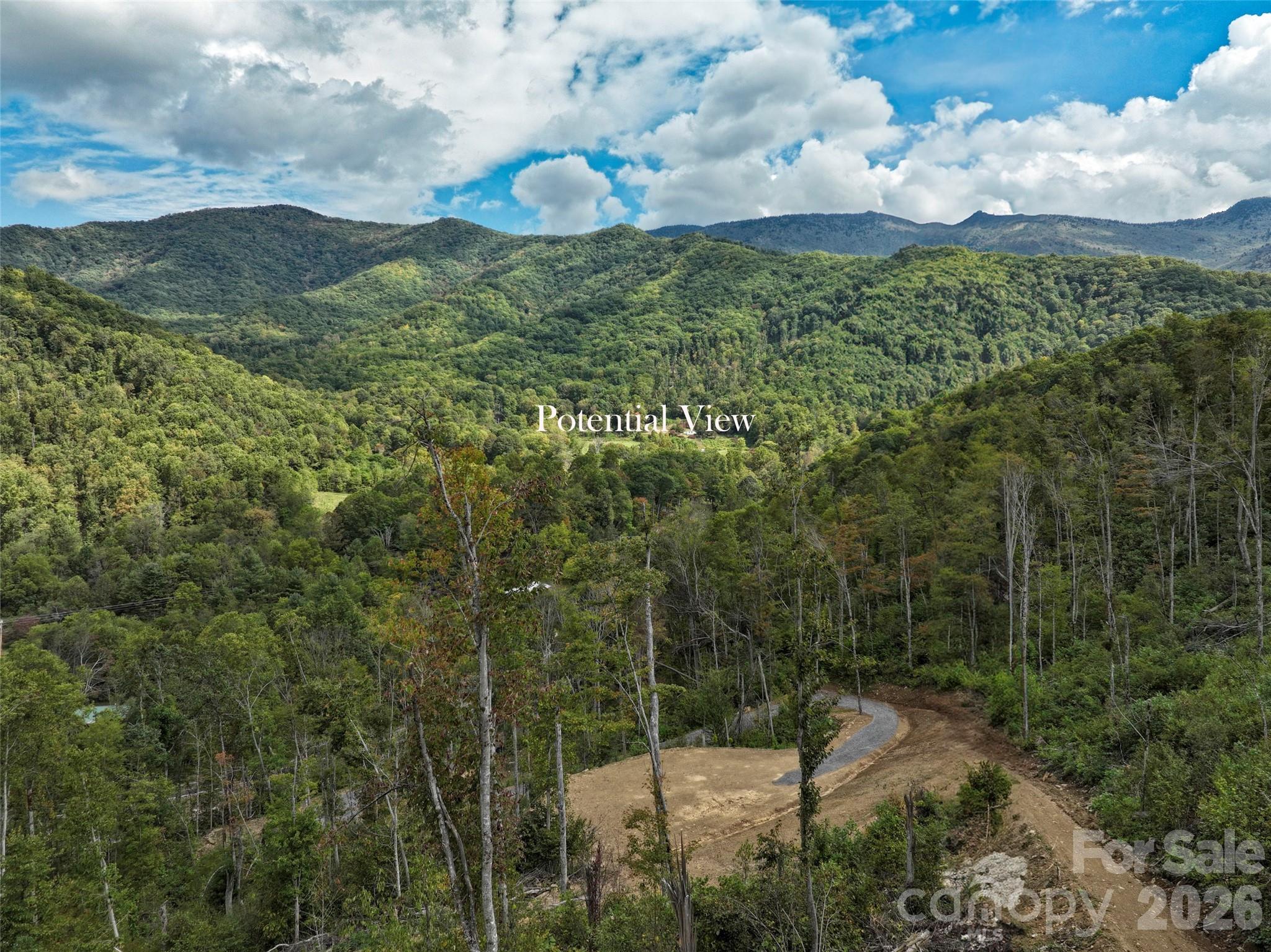 0000 Cattail Creek Road Burnsville NC 28714