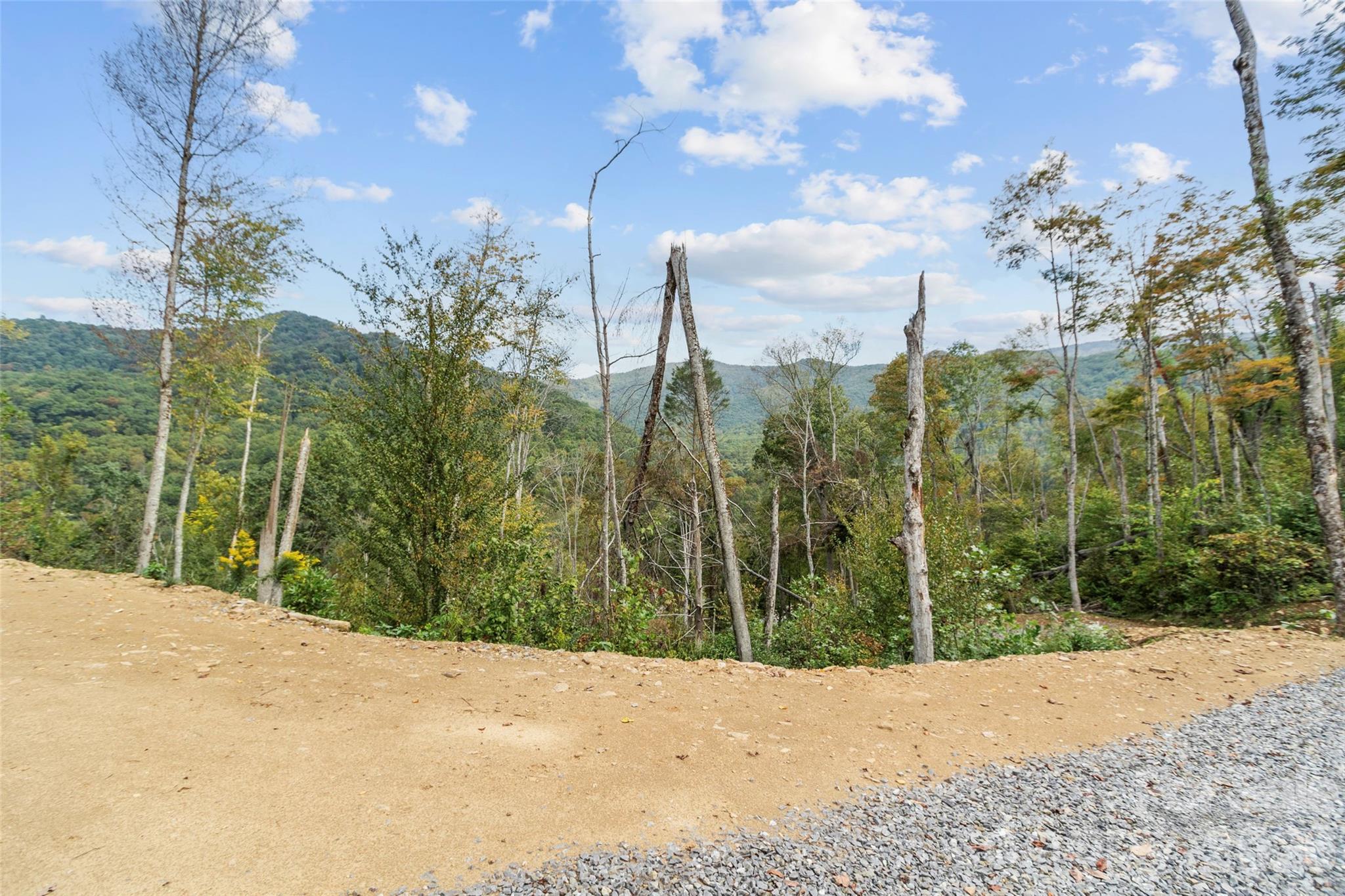 0000 Cattail Creek Road Burnsville NC 28714