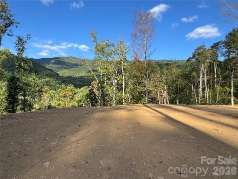 0000 Cattail Creek Road Burnsville NC 28714