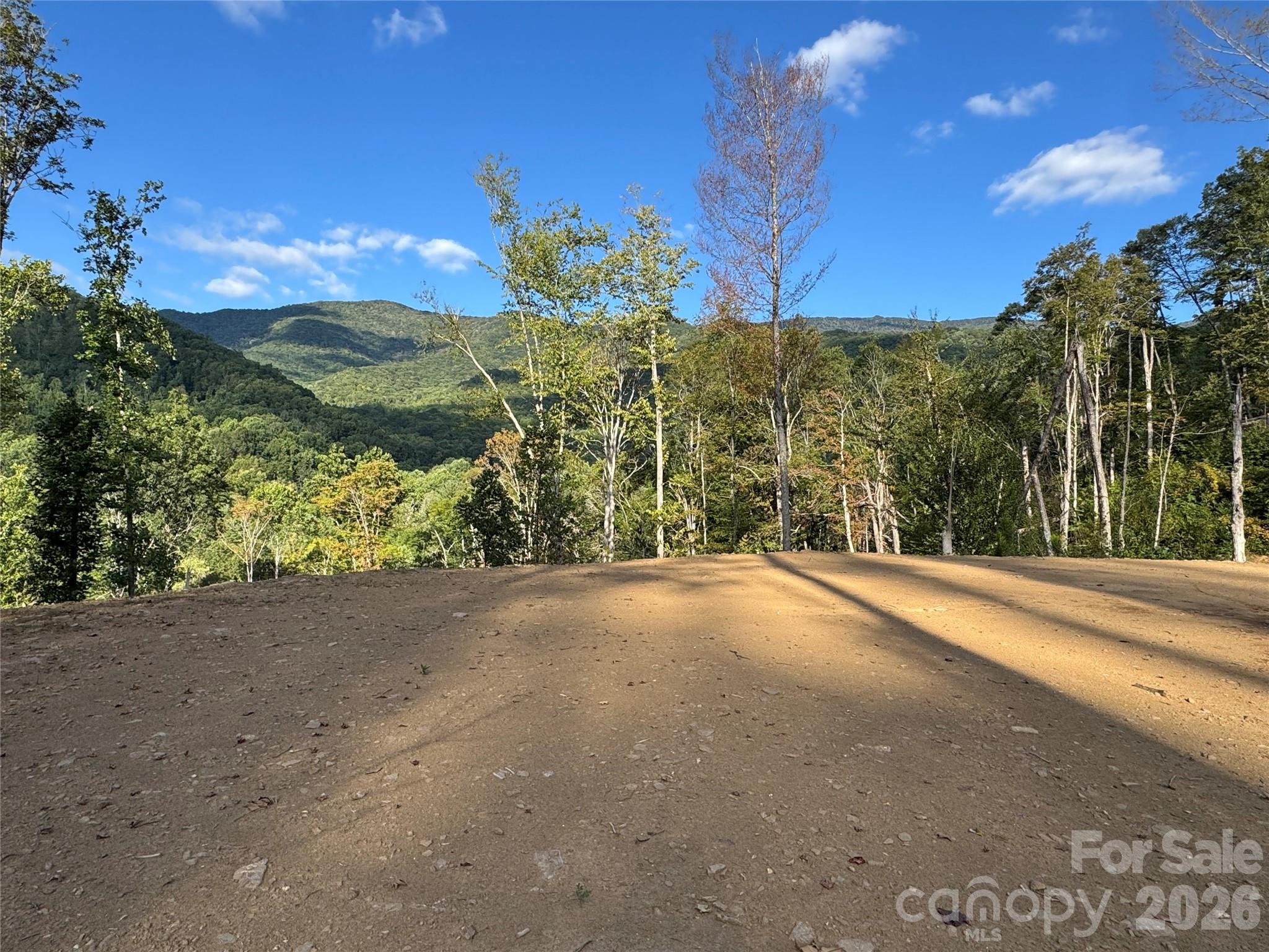 0000 Cattail Creek Road Burnsville NC 28714