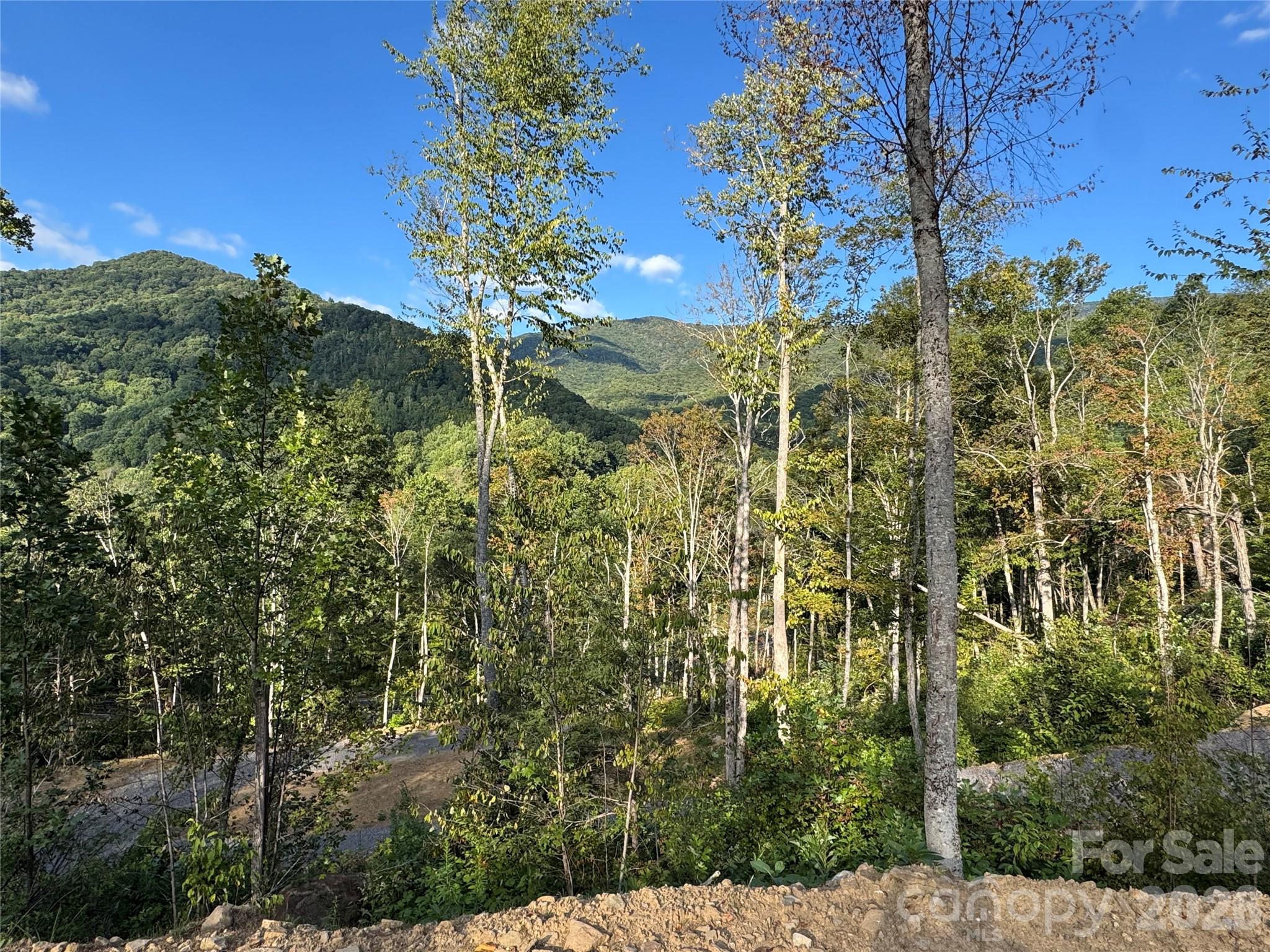 0000 Cattail Creek Road Burnsville NC 28714