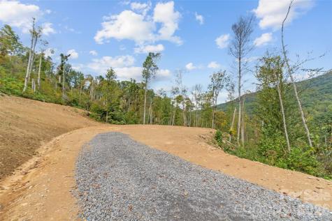 0000 Cattail Creek Road Burnsville NC 28714