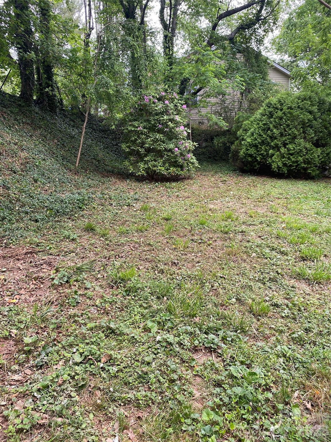 Tbd Lilac Street Asheville NC 28806