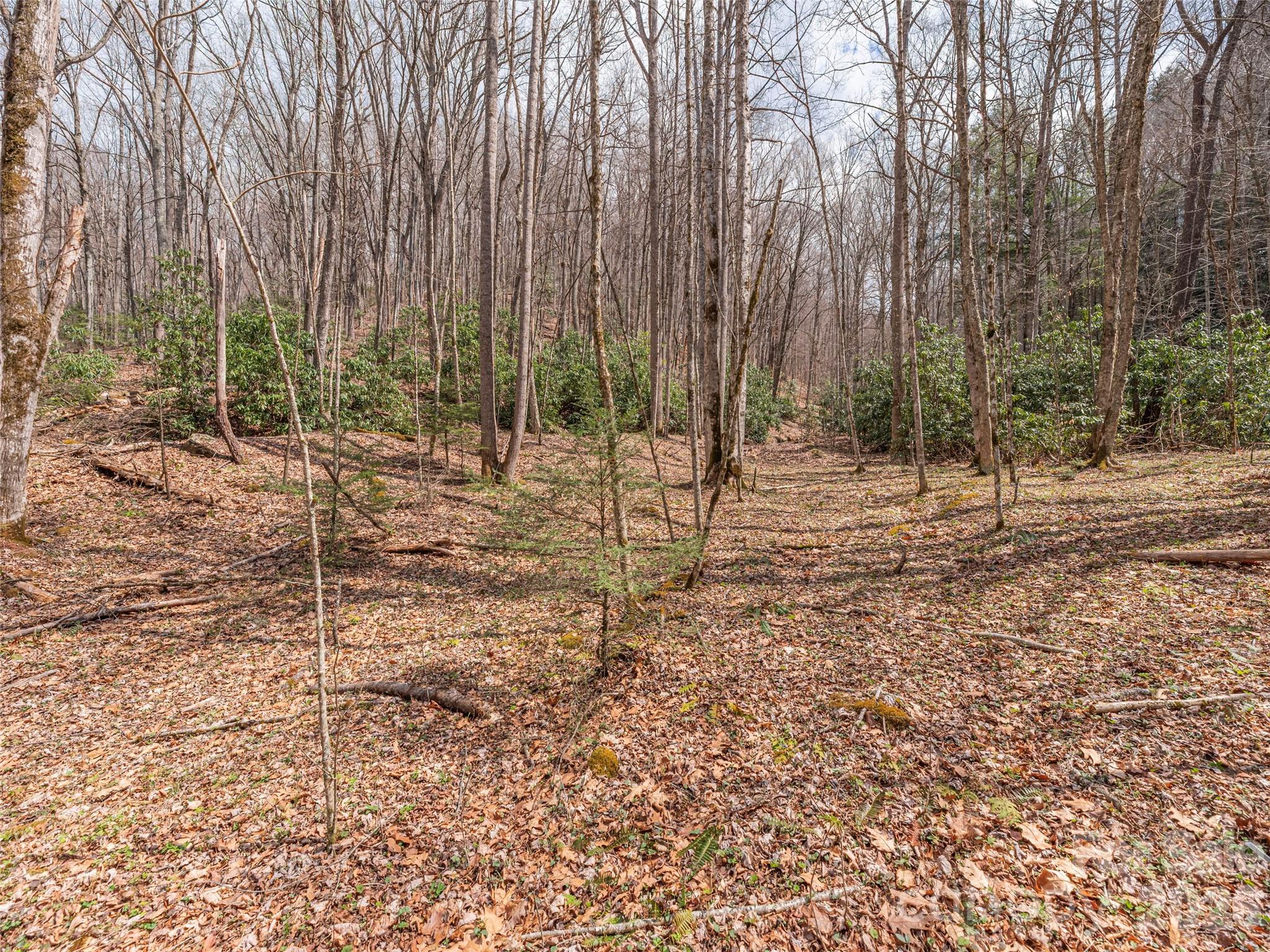 00 Norton Fork Road Spring Creek NC 28743