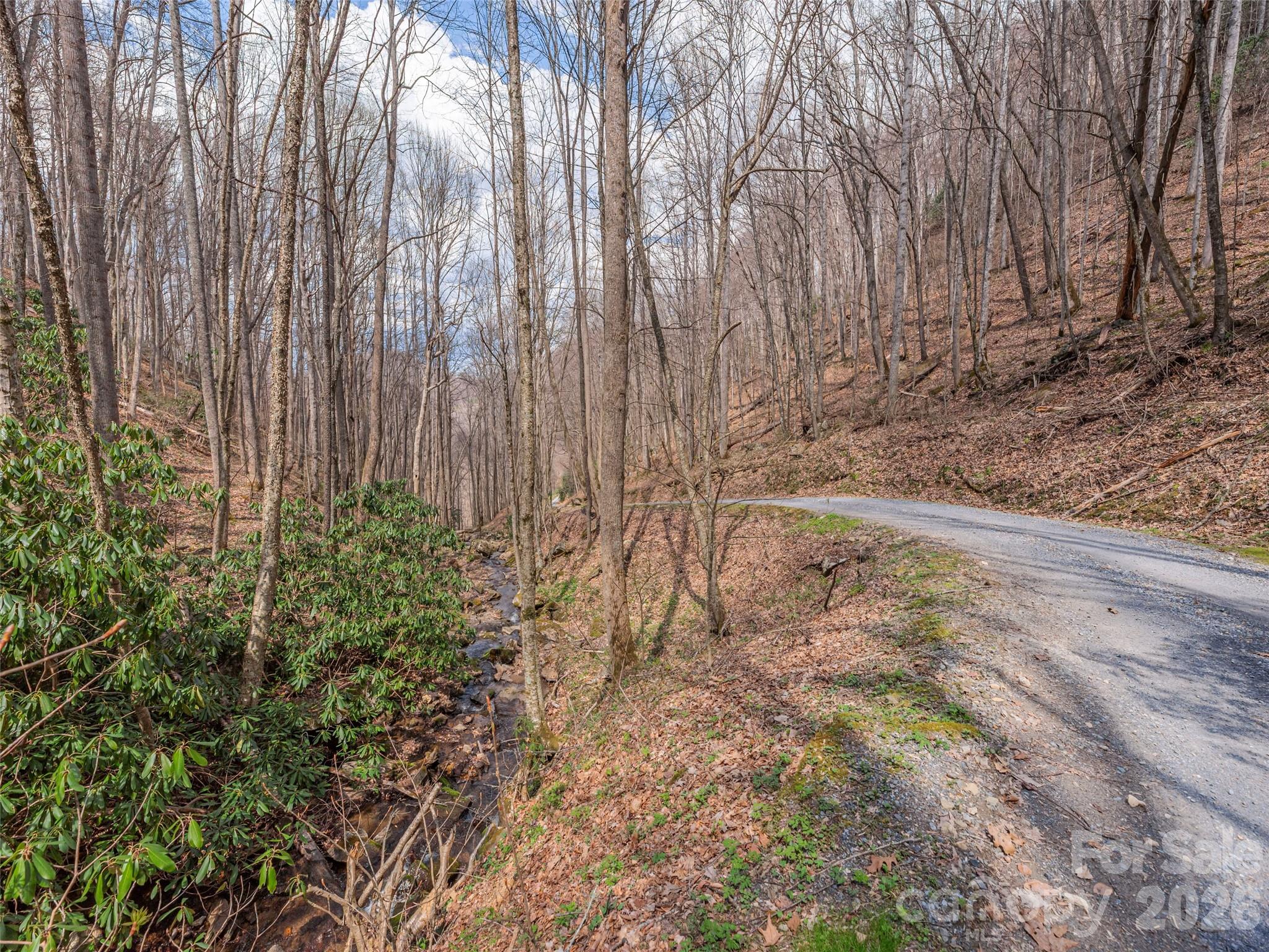 00 Norton Fork Road Spring Creek NC 28743