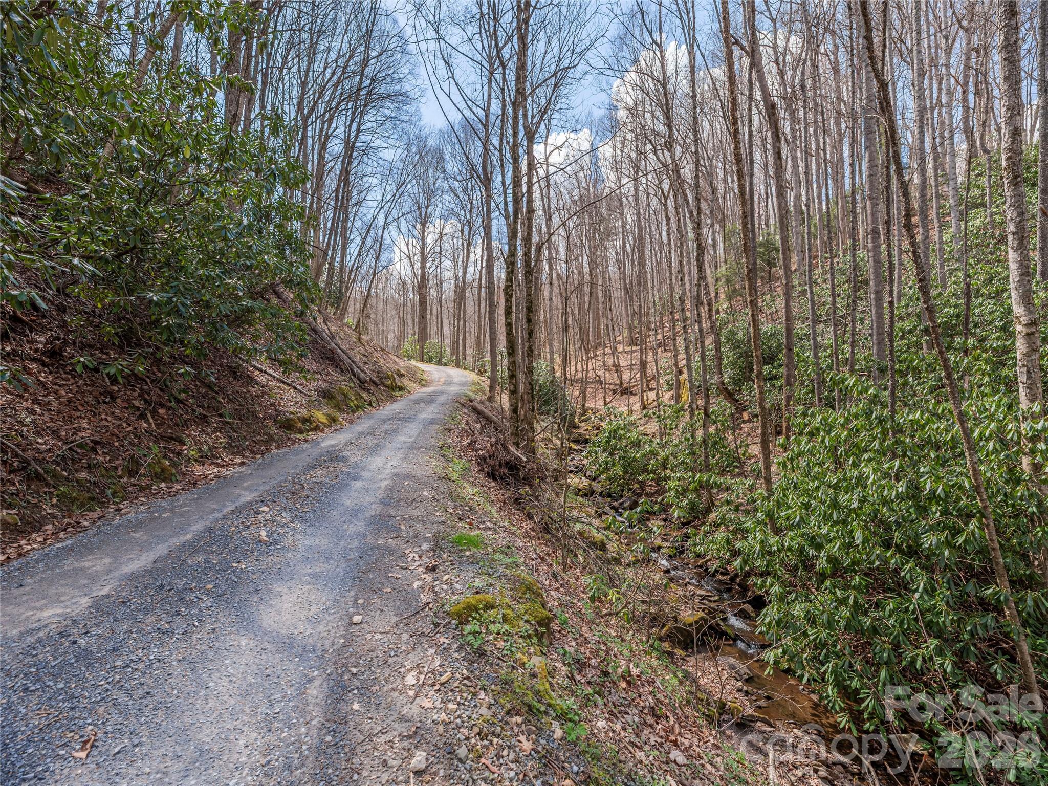 00 Norton Fork Road Spring Creek NC 28743