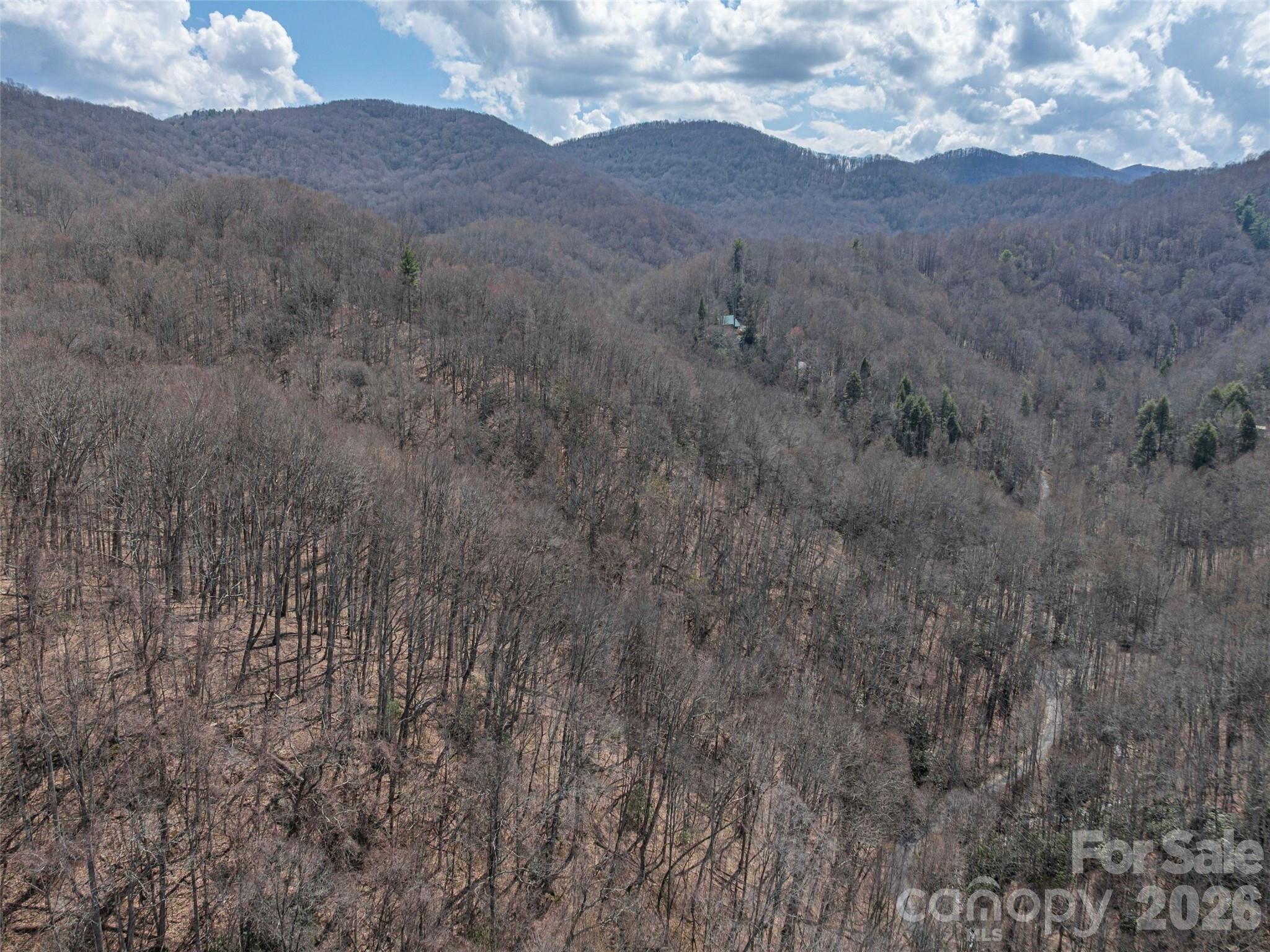 00 Norton Fork Road Spring Creek NC 28743