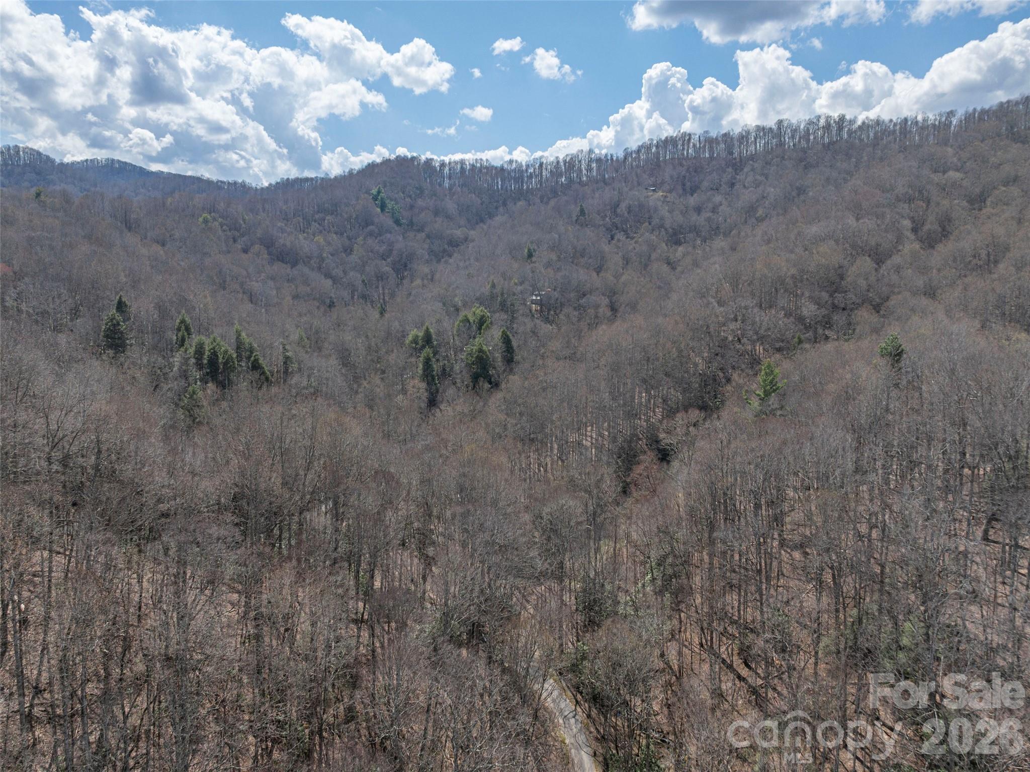 00 Norton Fork Road Spring Creek NC 28743