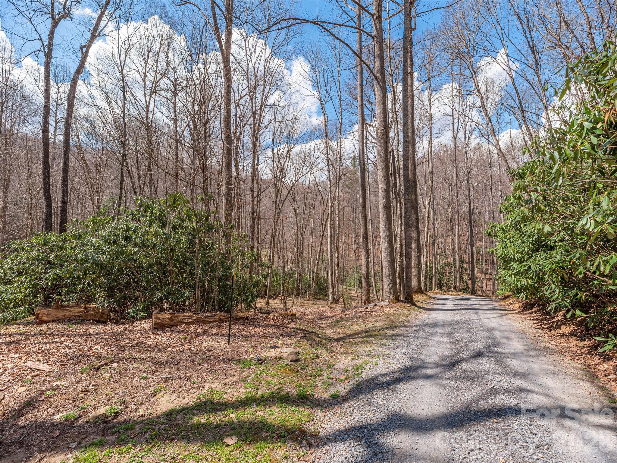 00 Norton Fork Road Spring Creek NC 28743