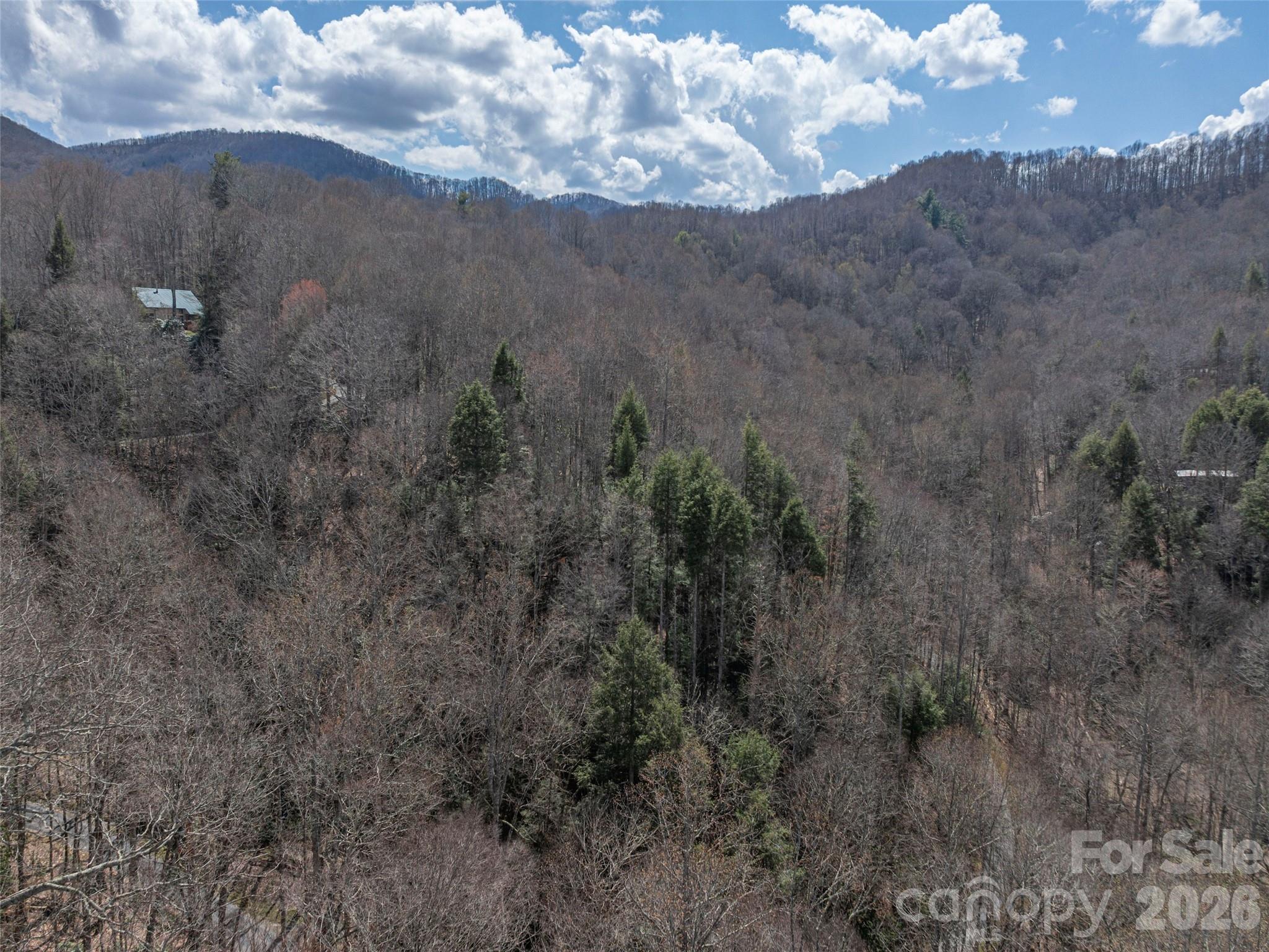 00 Norton Fork Road Spring Creek NC 28743