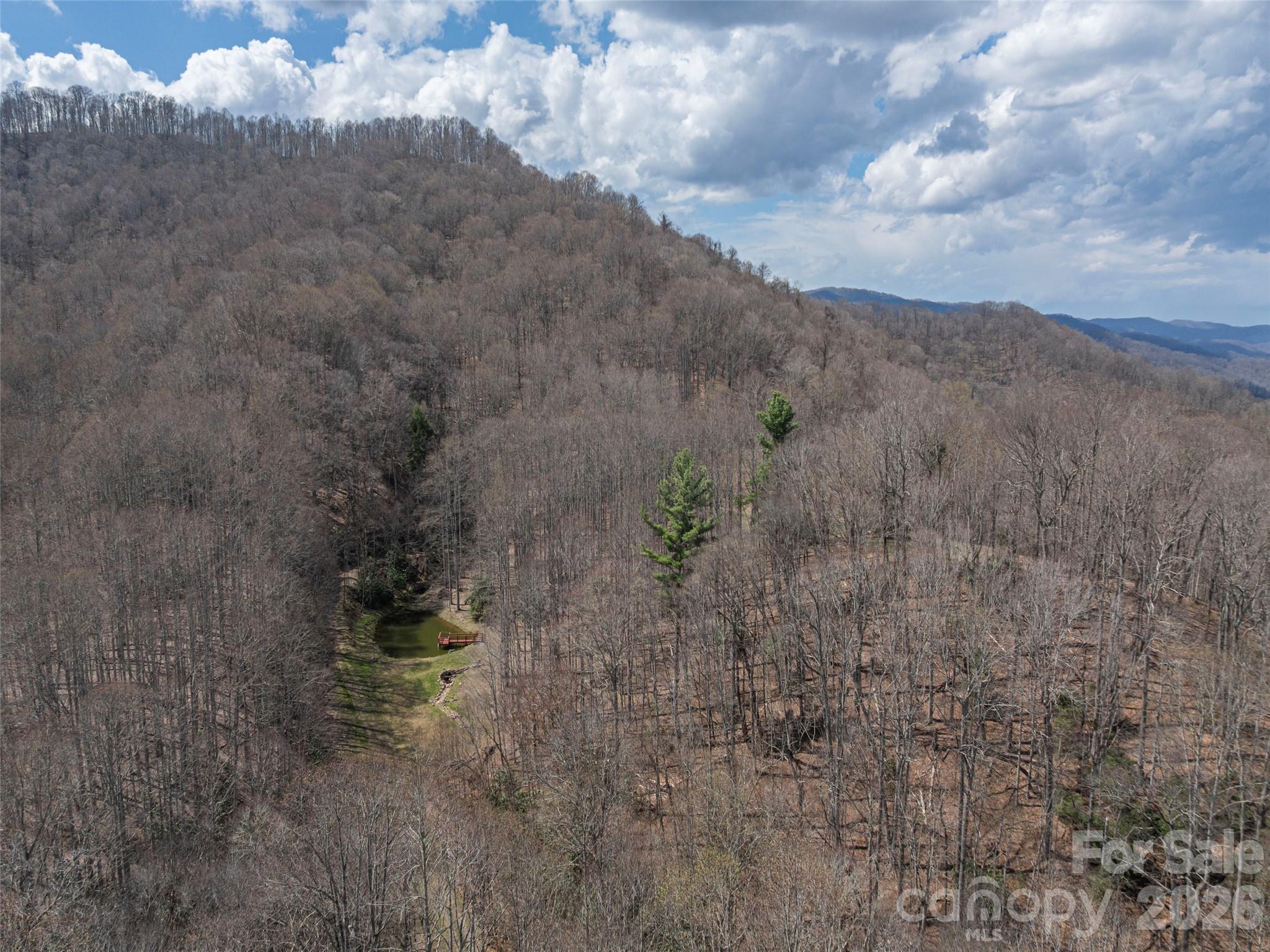 00 Norton Fork Road Spring Creek NC 28743