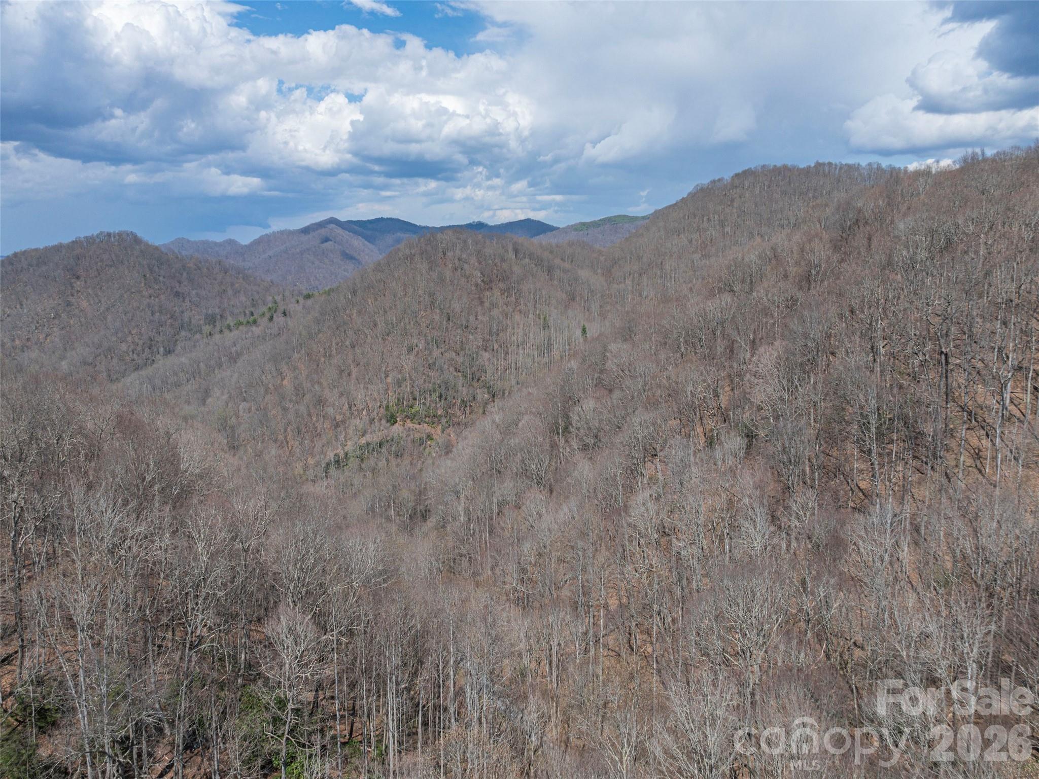 00 Norton Fork Road Spring Creek NC 28743