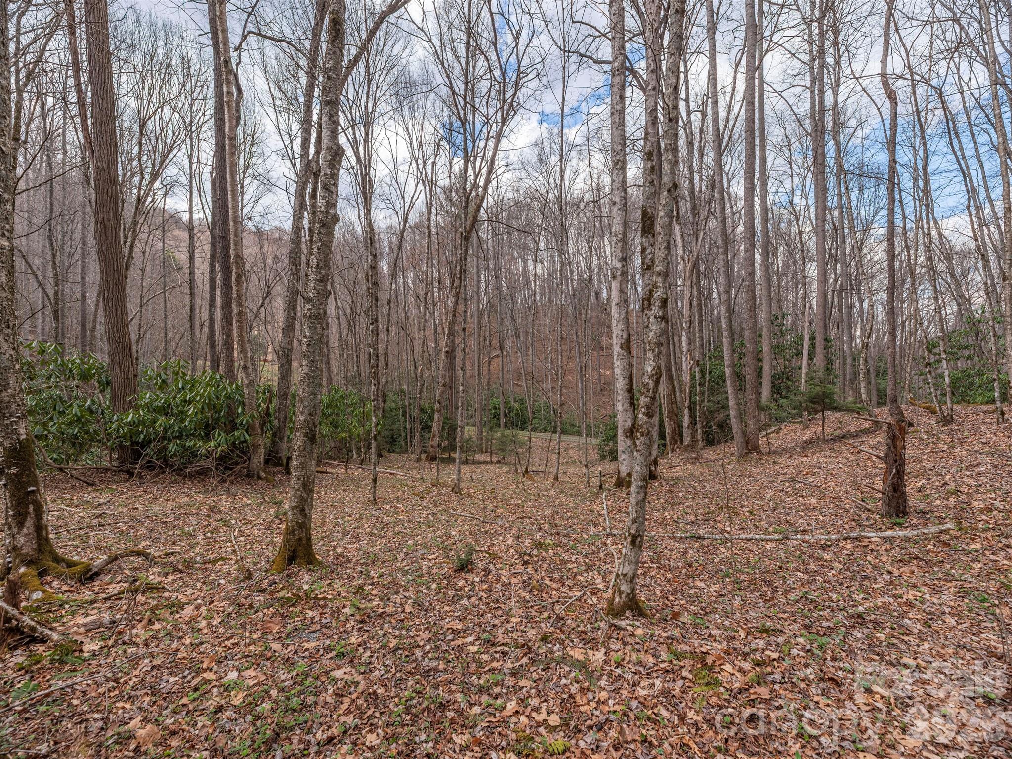 00 Norton Fork Road Spring Creek NC 28743
