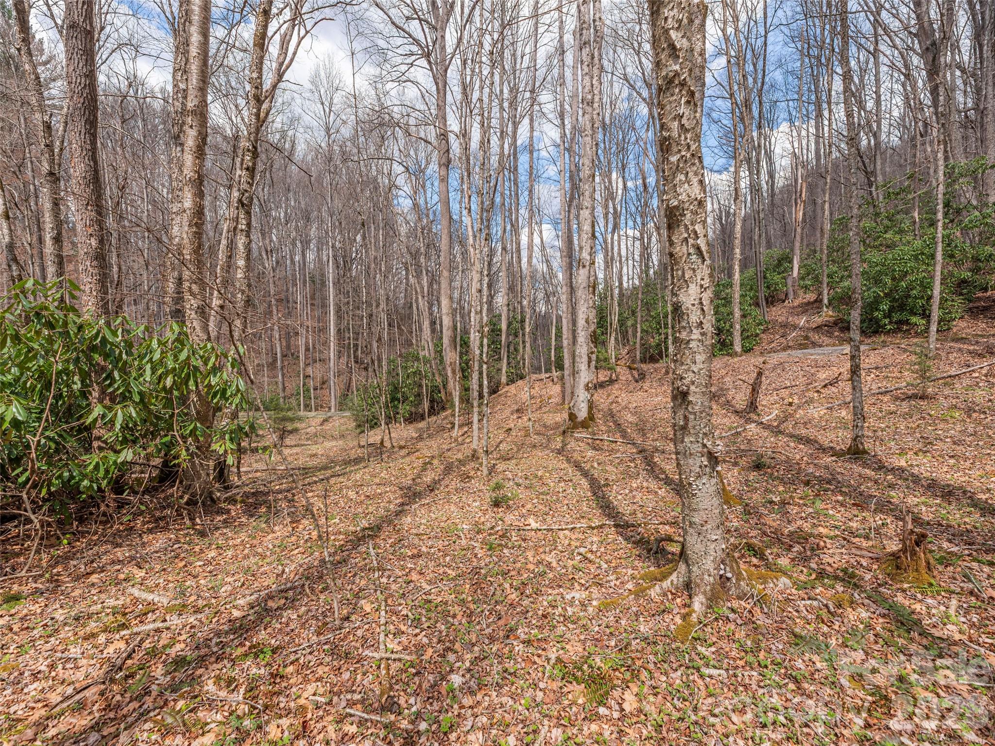00 Norton Fork Road Spring Creek NC 28743