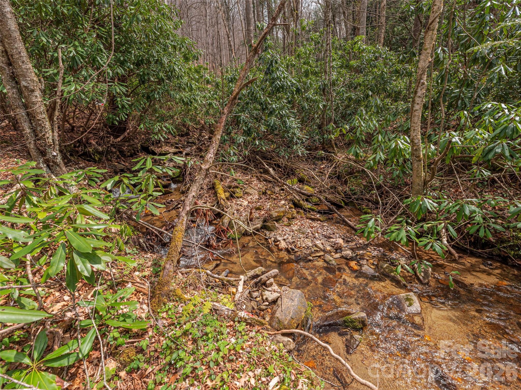 00 Norton Fork Road Spring Creek NC 28743