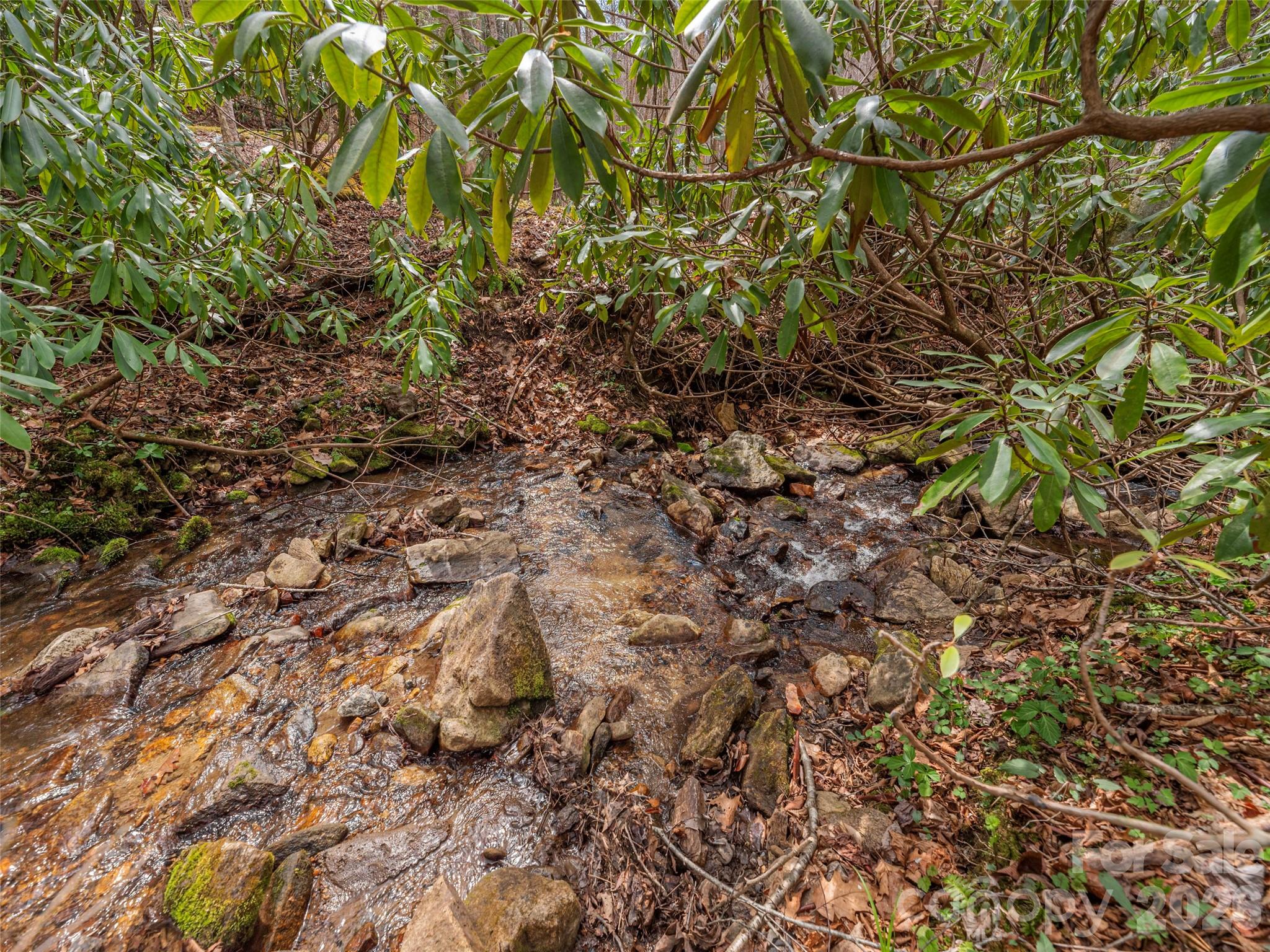 00 Norton Fork Road Spring Creek NC 28743
