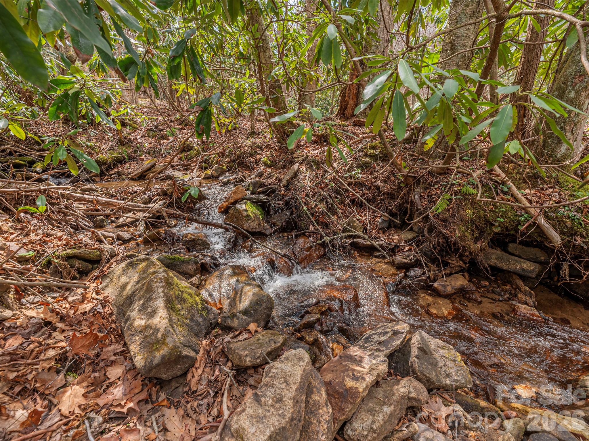 00 Norton Fork Road Spring Creek NC 28743