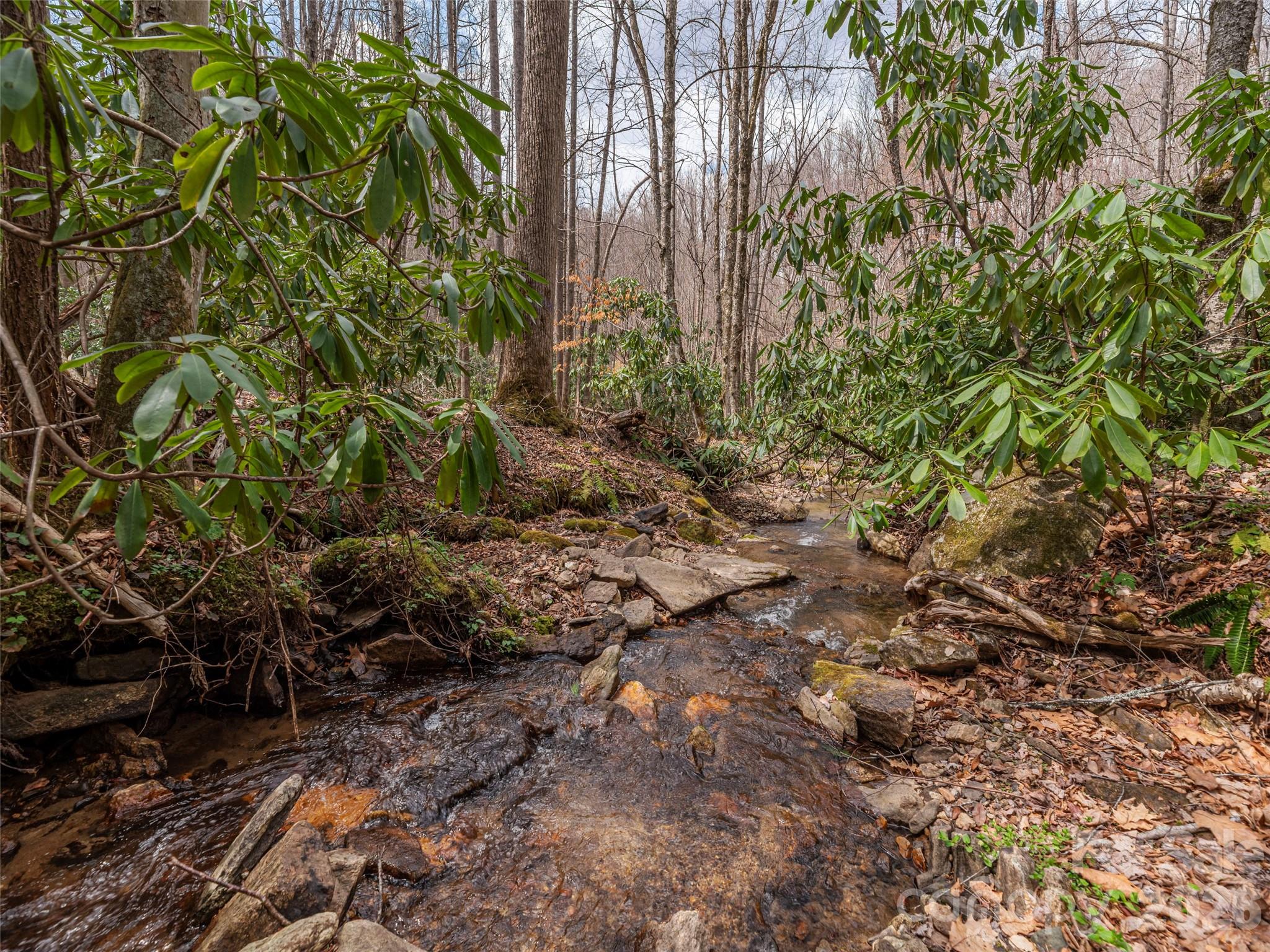 00 Norton Fork Road Spring Creek NC 28743