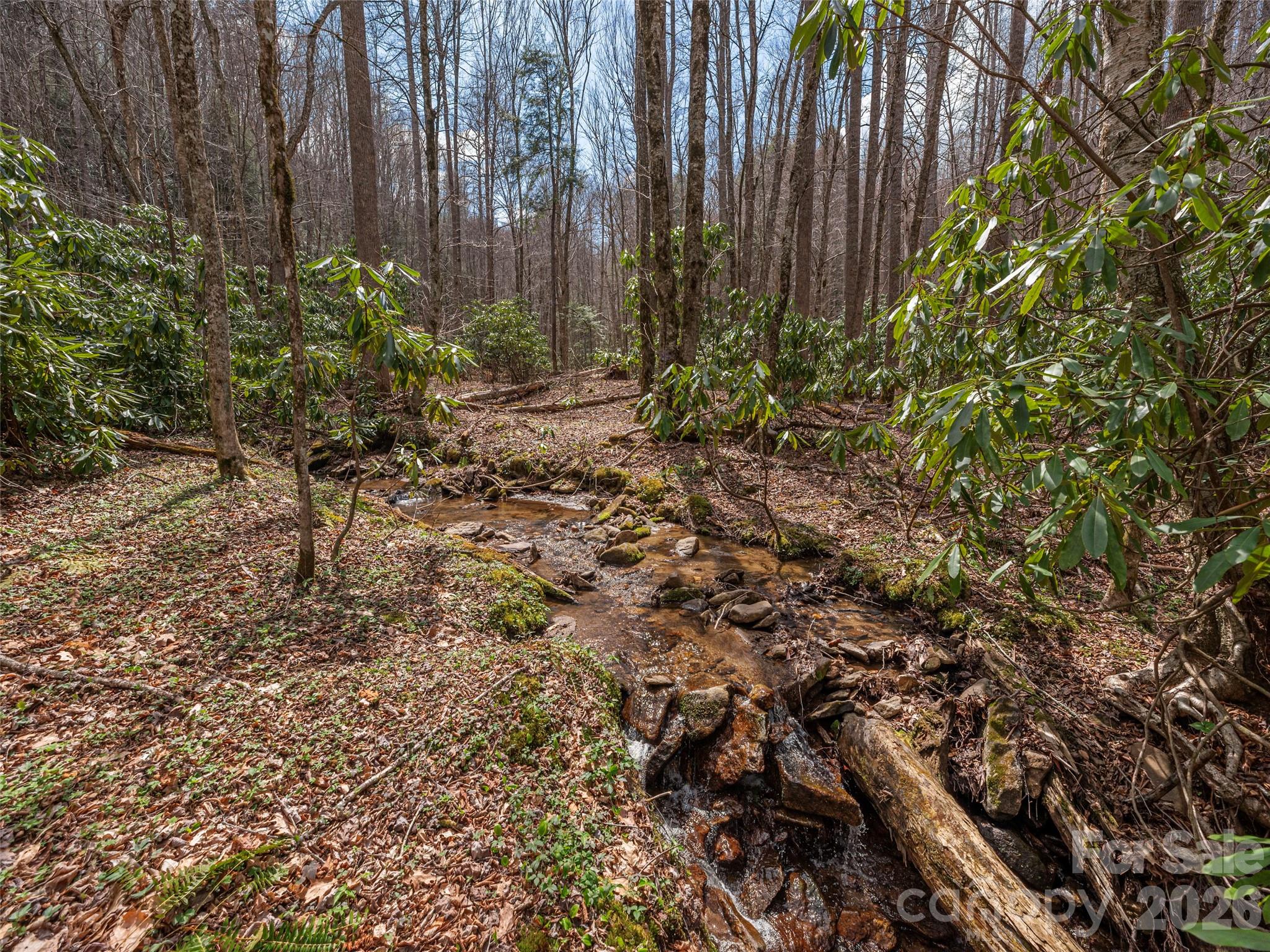 00 Norton Fork Road Spring Creek NC 28743