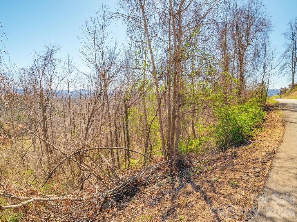 61 Ben Lippen School Road Asheville NC 28806
