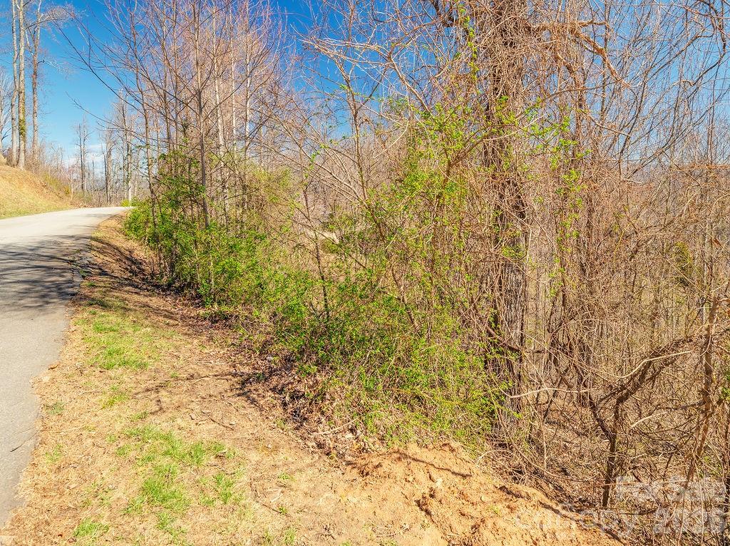 61 Ben Lippen School Road Asheville NC 28806