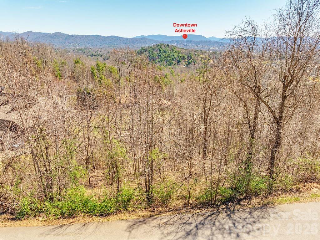 61 Ben Lippen School Road Asheville NC 28806