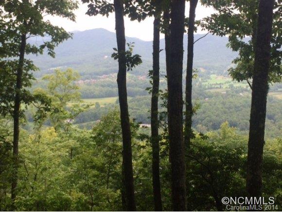 45 Deer Grass Court Arden NC 28704