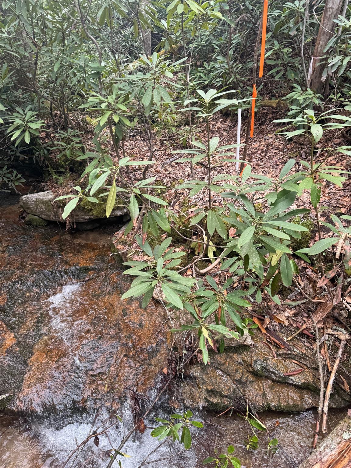 Tract A Cherrywood Lane Pisgah Forest NC 28768