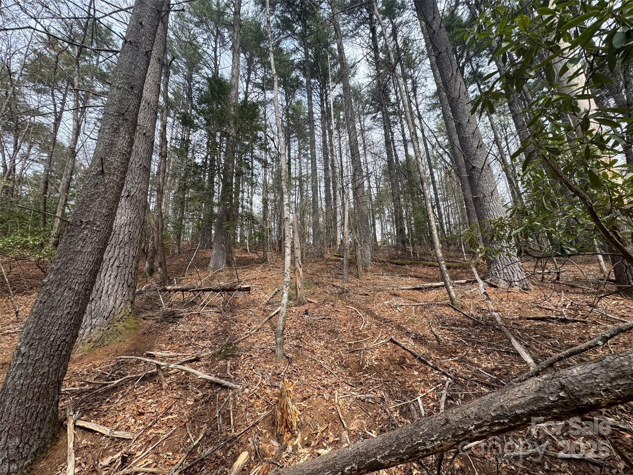 Tract A Cherrywood Lane Pisgah Forest NC 28768
