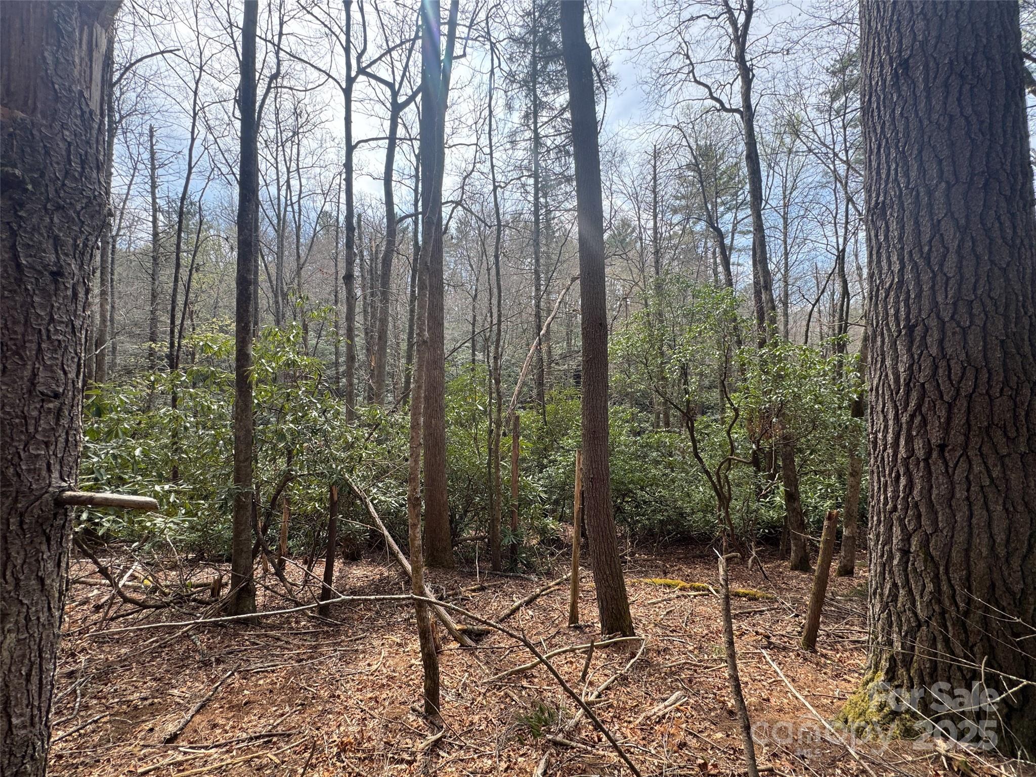Tract A Cherrywood Lane Pisgah Forest NC 28768