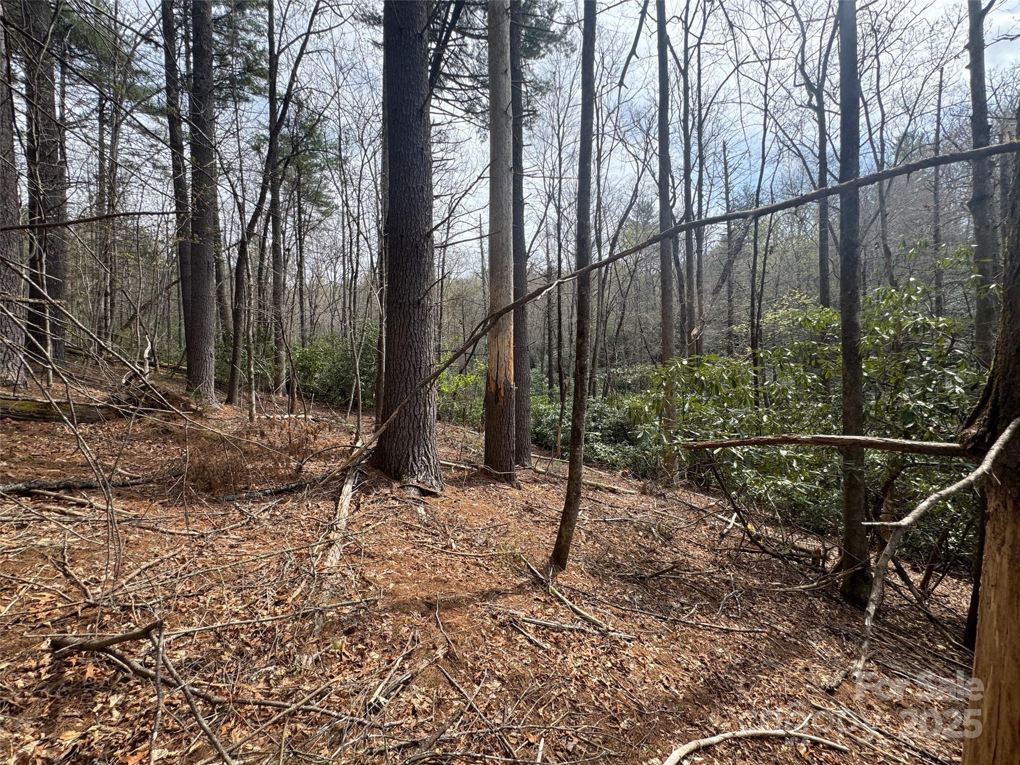 Tract A Cherrywood Lane Pisgah Forest NC 28768