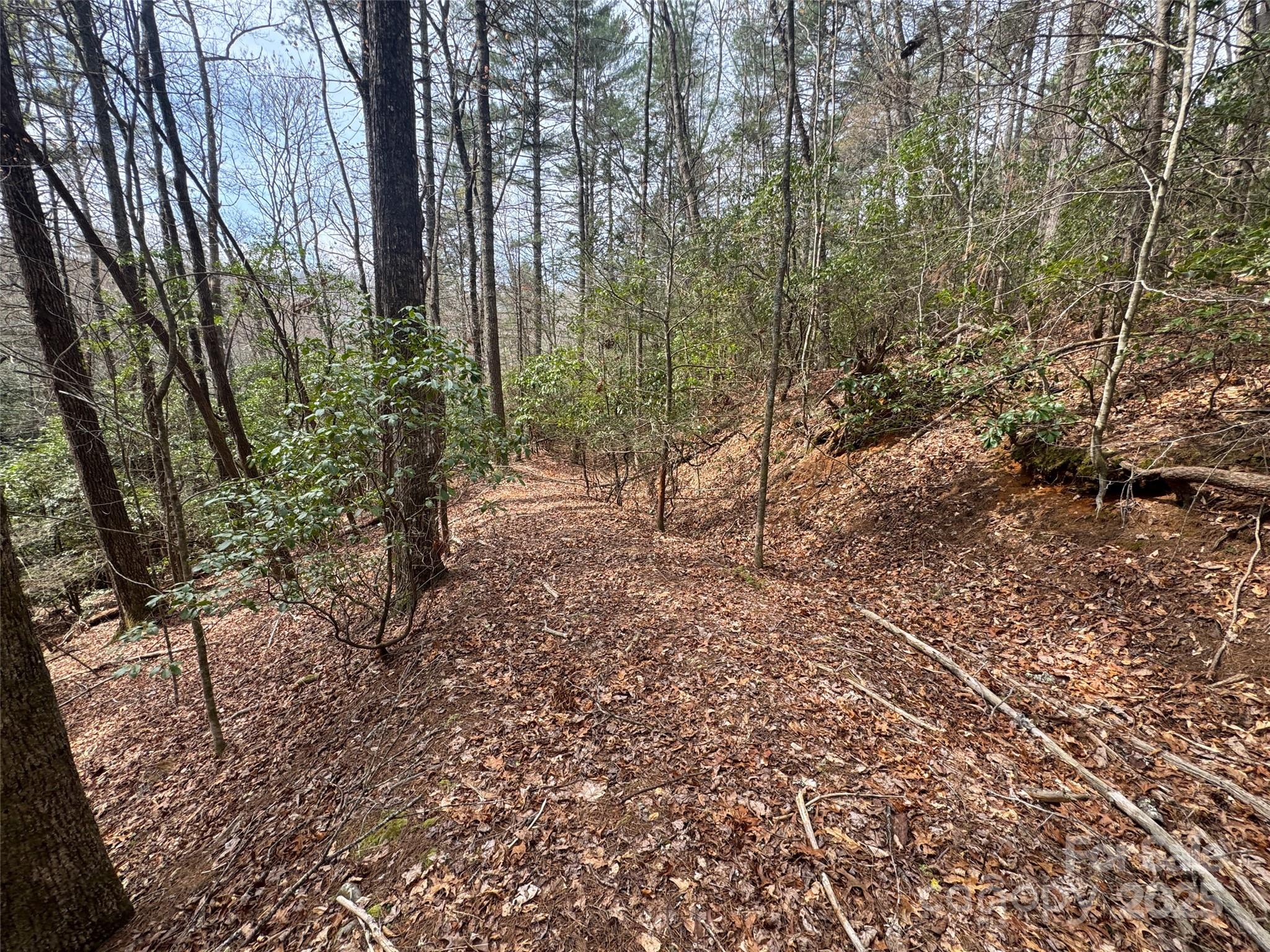 Tract A Cherrywood Lane Pisgah Forest NC 28768