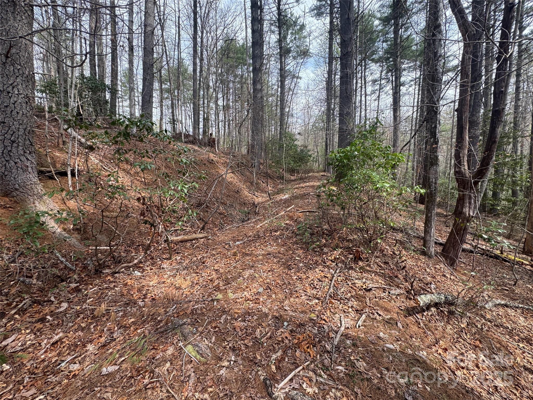 Tract A Cherrywood Lane Pisgah Forest NC 28768