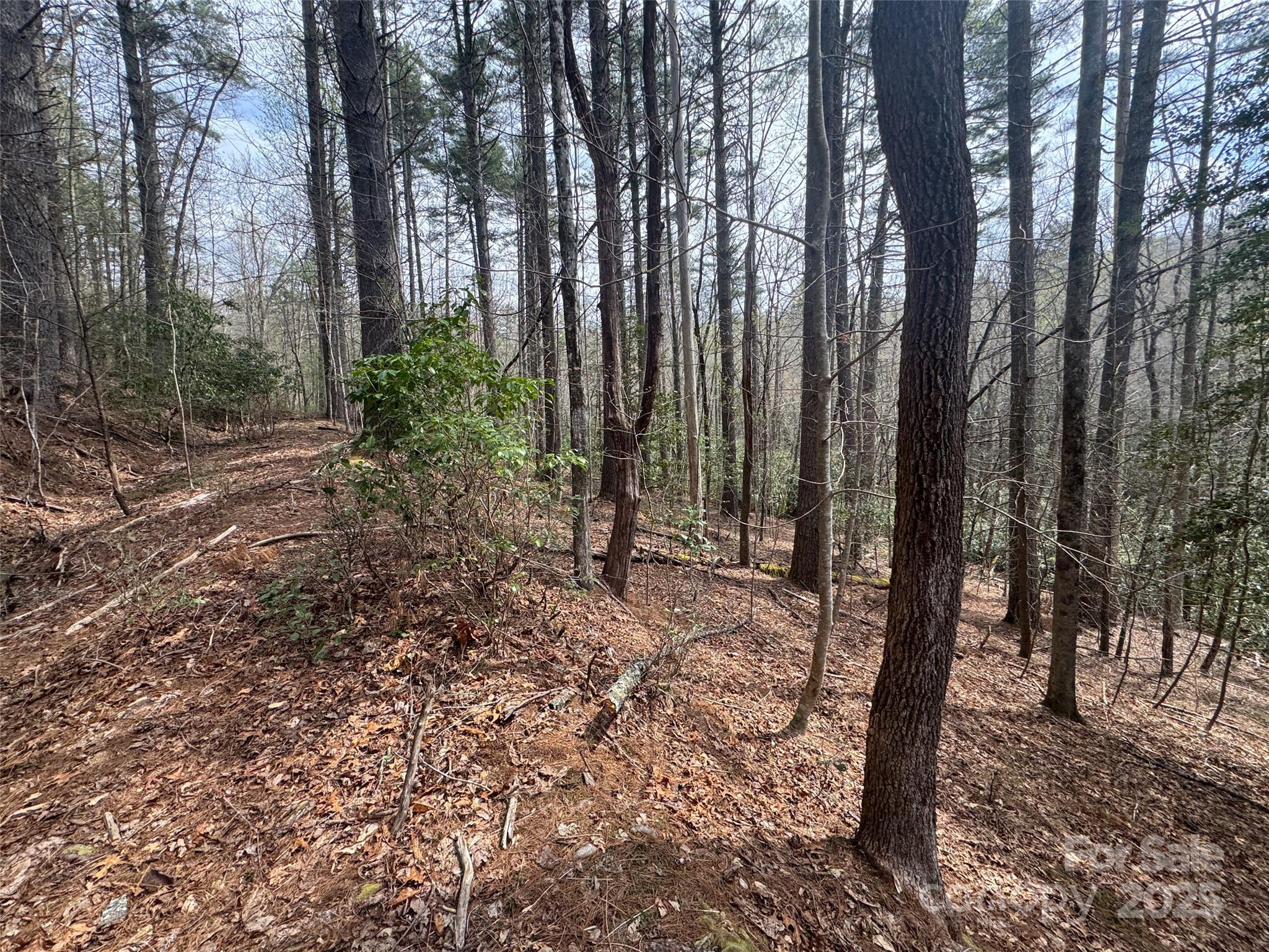 Tract A Cherrywood Lane Pisgah Forest NC 28768
