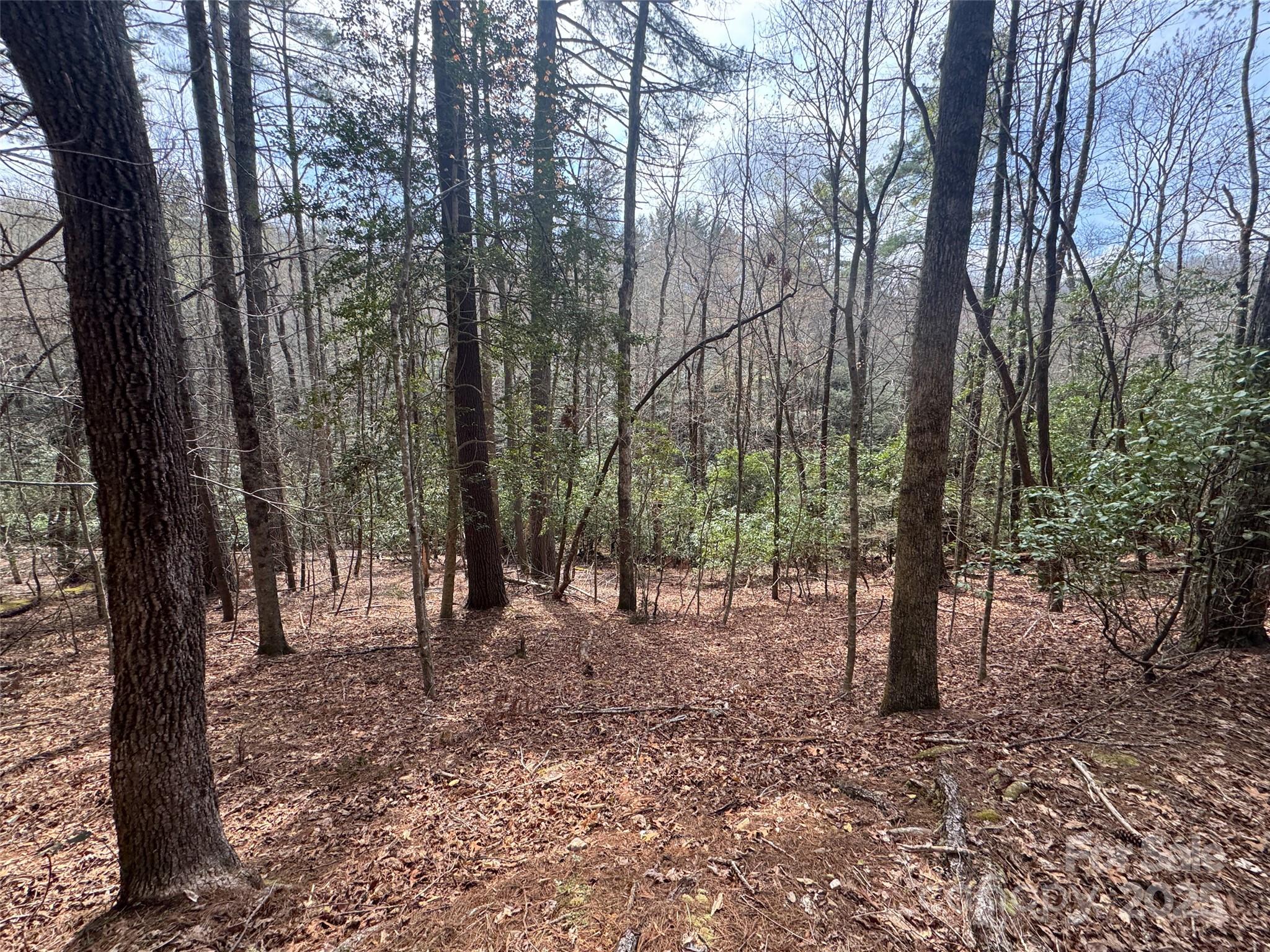Tract A Cherrywood Lane Pisgah Forest NC 28768