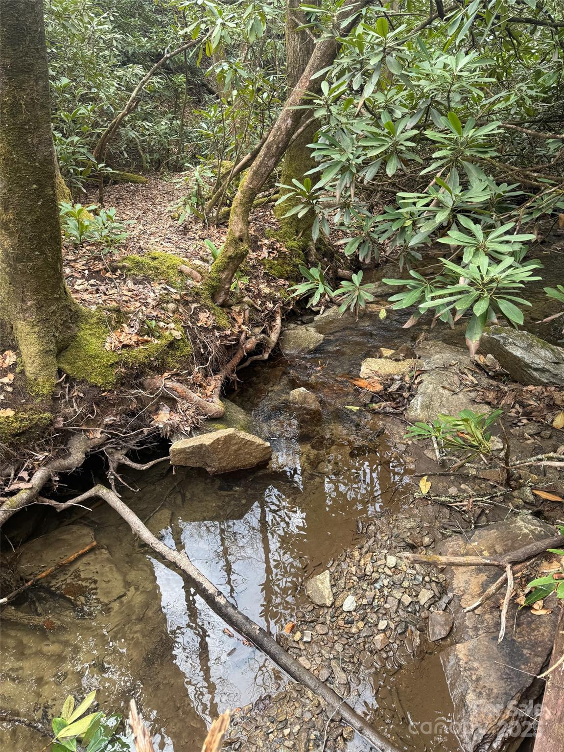 Tract A Cherrywood Lane Pisgah Forest NC 28768