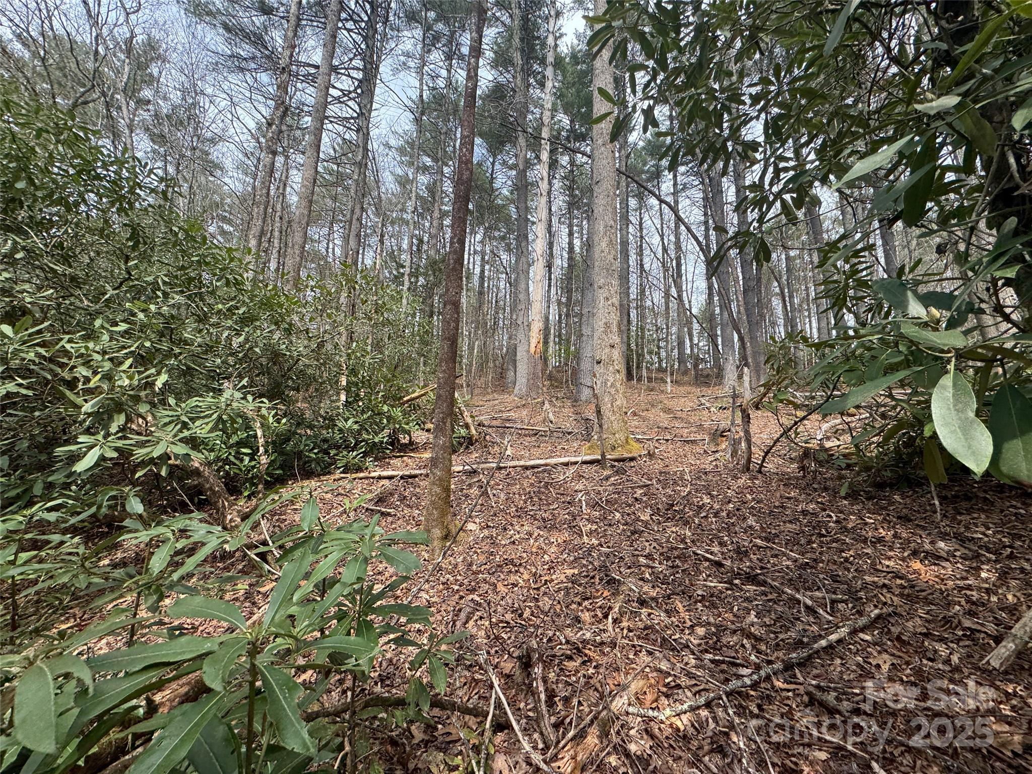 Tract A Cherrywood Lane Pisgah Forest NC 28768