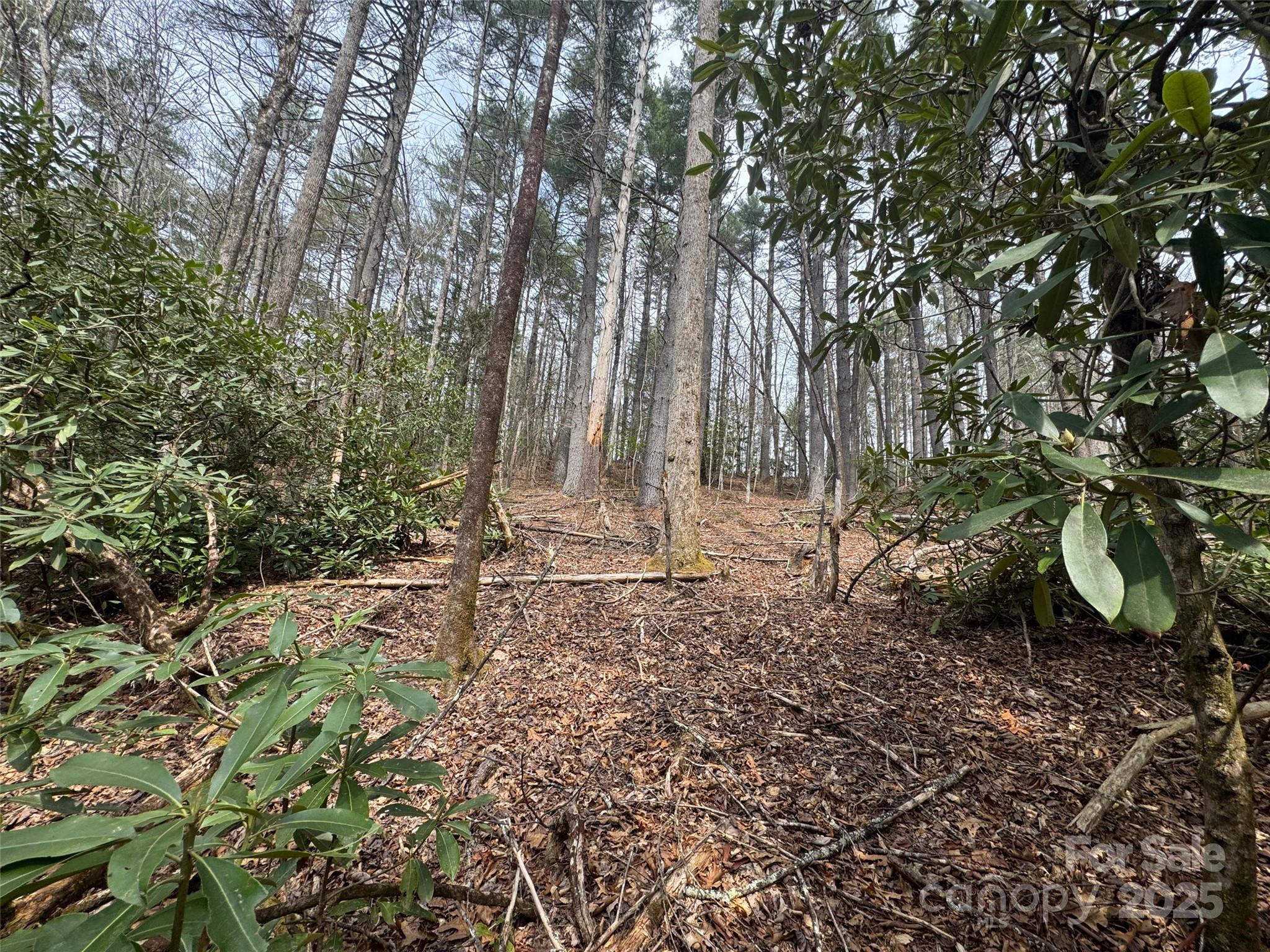 Tract A Cherrywood Lane Pisgah Forest NC 28768