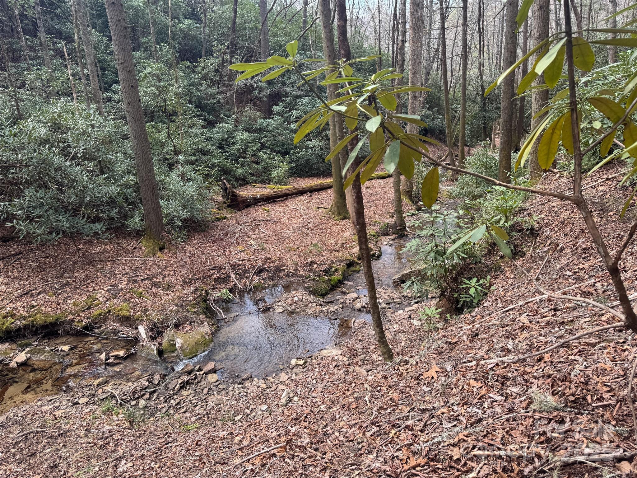 Tract A Cherrywood Lane Pisgah Forest NC 28768