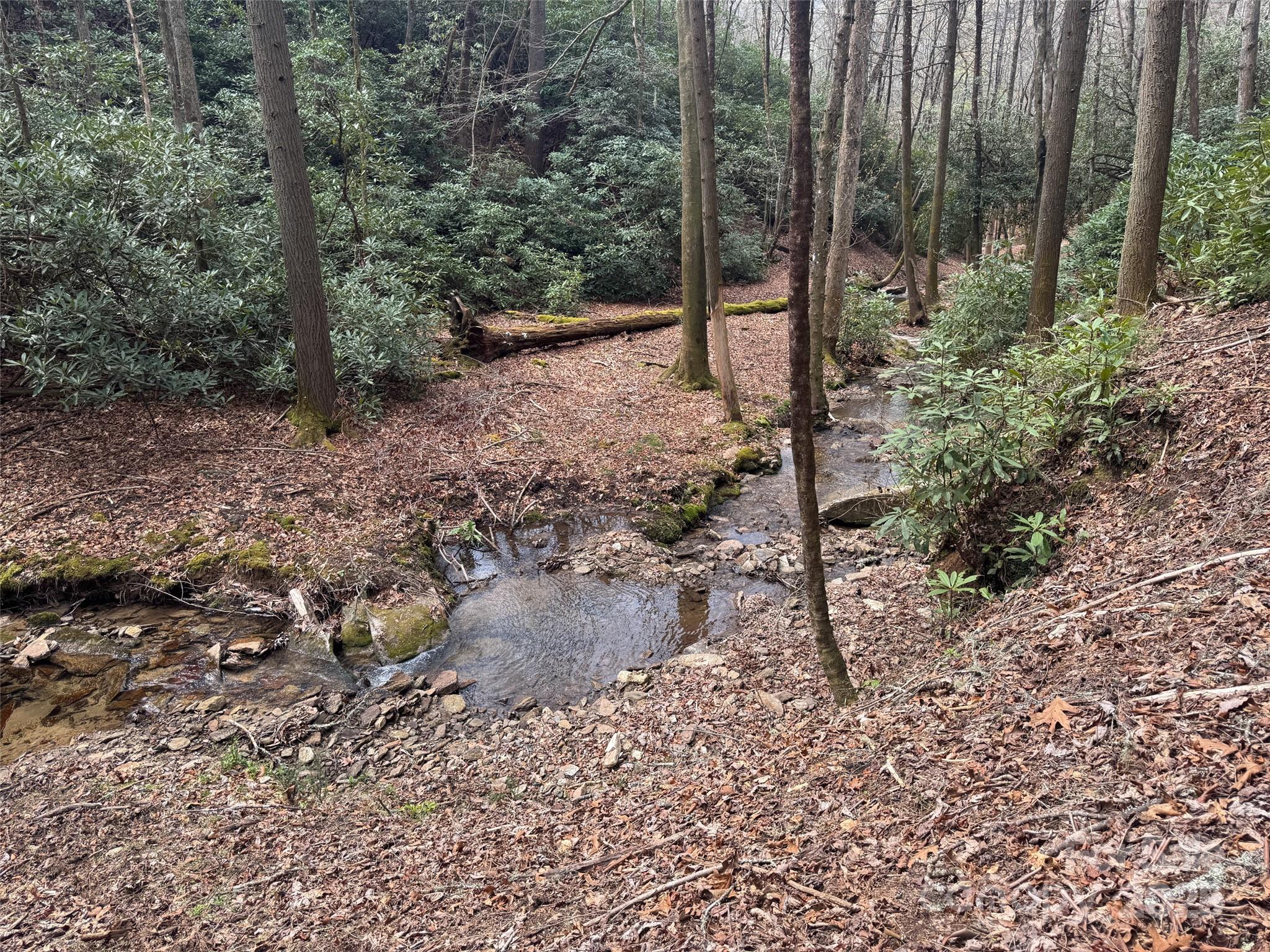 Tract A Cherrywood Lane Pisgah Forest NC 28768