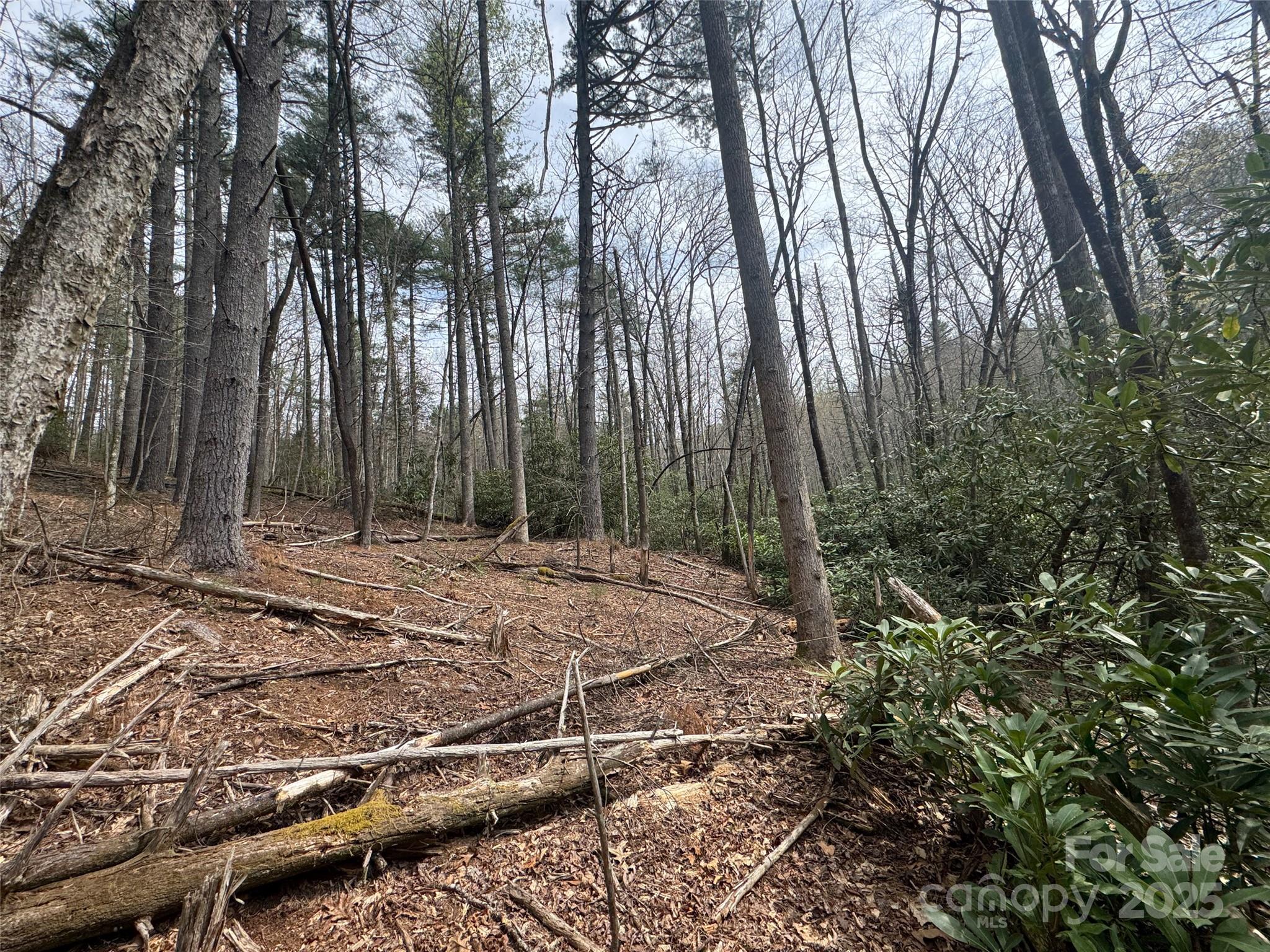 Tract A Cherrywood Lane Pisgah Forest NC 28768