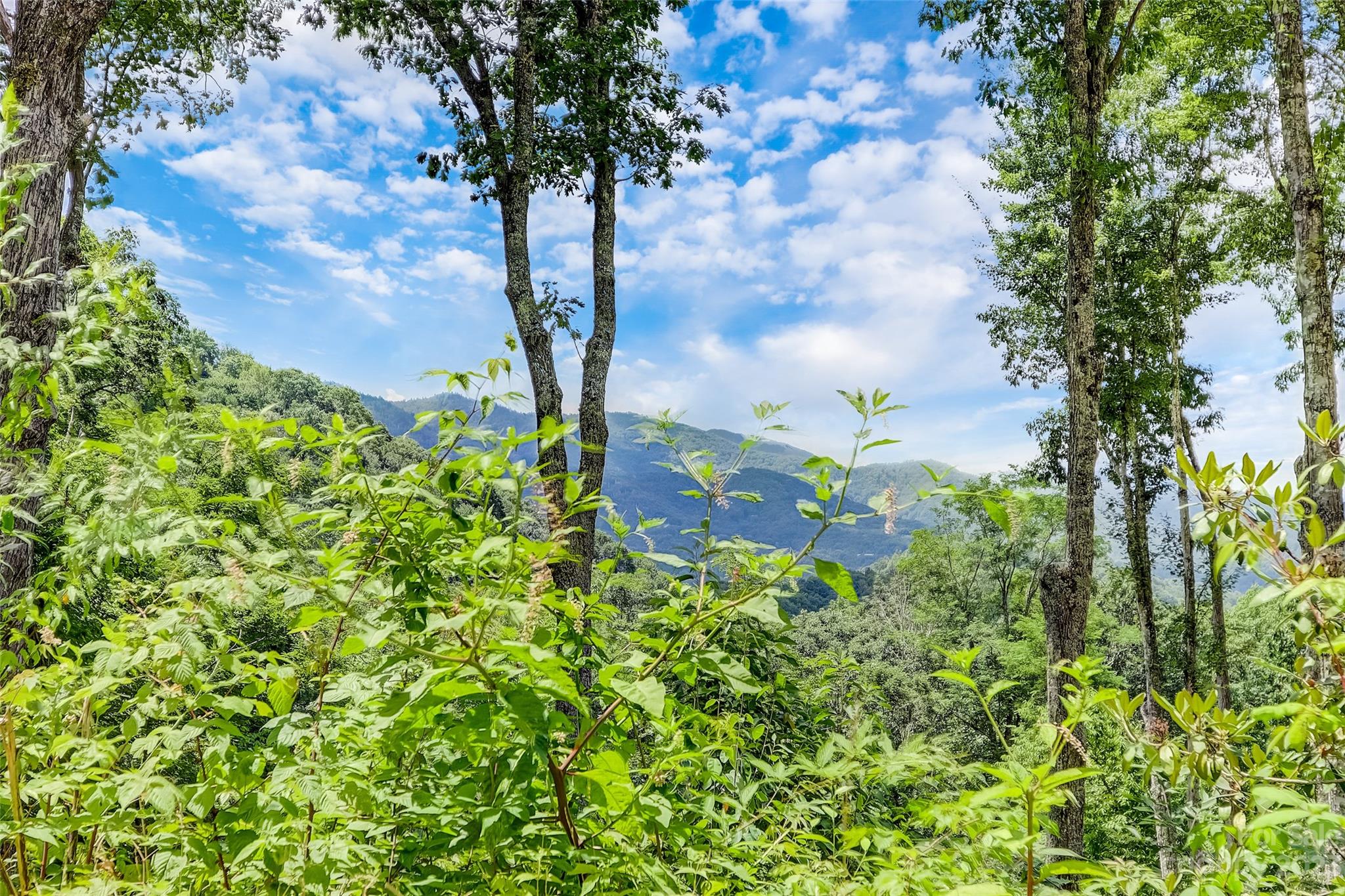 0 Centurian Lane Maggie Valley NC 28751
