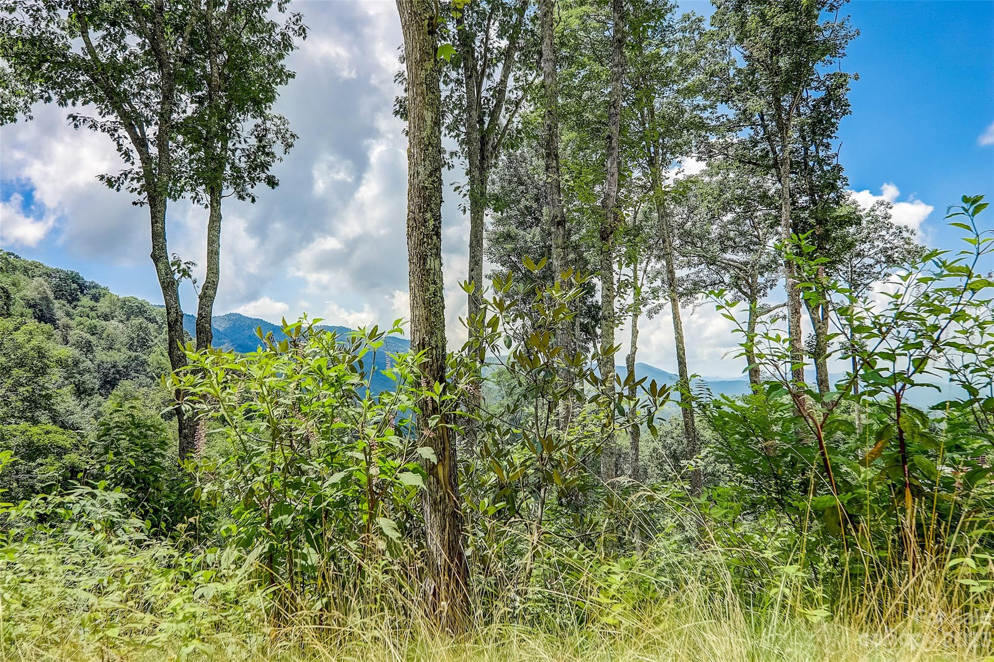 0 Centurian Lane Maggie Valley NC 28751